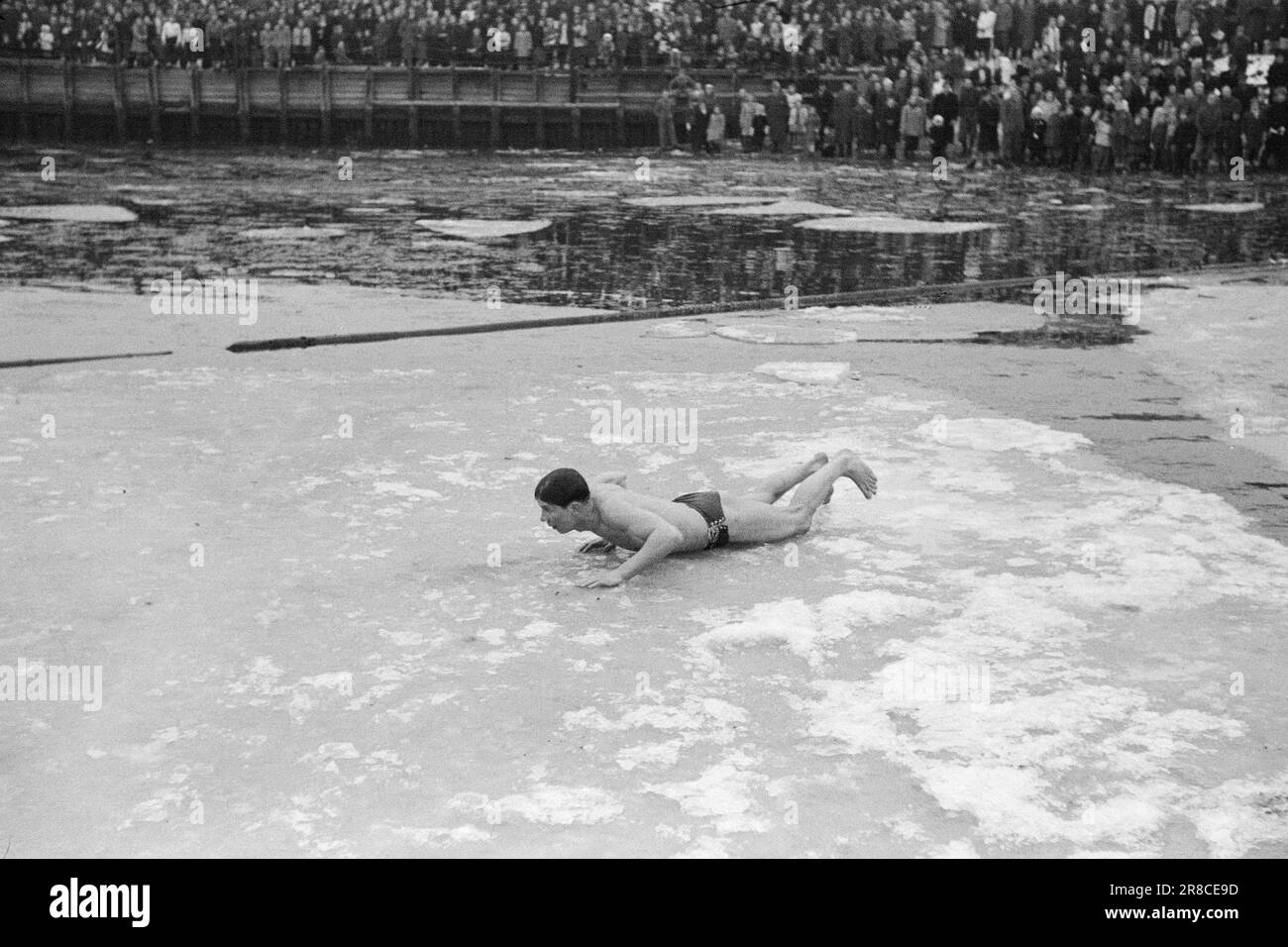 Current 3-1947: Bathing between ice fishingBathing life between ice floes. The association 'Isbitarna' from Gothenburg has regular swimming days throughout the winter. Following an invitation from Idrettslaget Varg and Arbeiderbladet, they visited Oslo the other day, and showed how lifesaving should be handled in winter.  Should you be unlucky enough to fall into the water on a winter's day, you should preferably make sure you have a couple of ice spikes on you. You will get very good use for them to haul you up onto the ice with, as it is as smooth as green soap. It is inadvisable to get a go Stock Photo