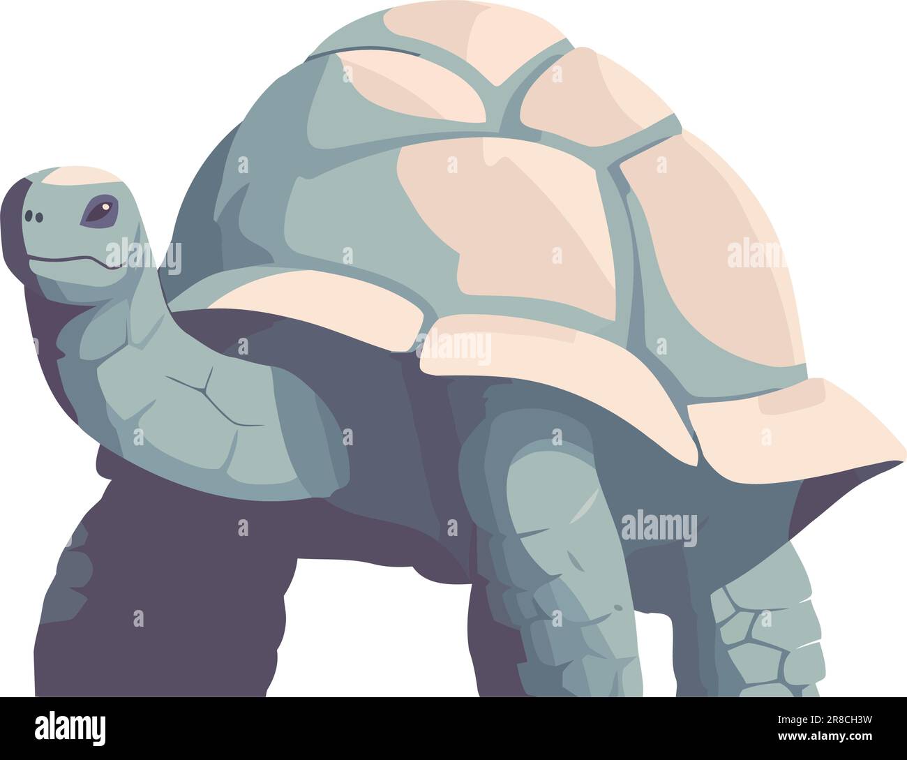 Slow walking turtle, cute reptile mascot symbol Stock Vector Image ...