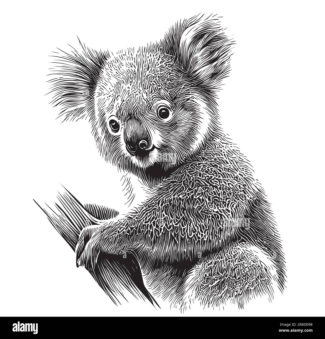 Koala on tree hand drawn sketch Vector illustration, Wild animals