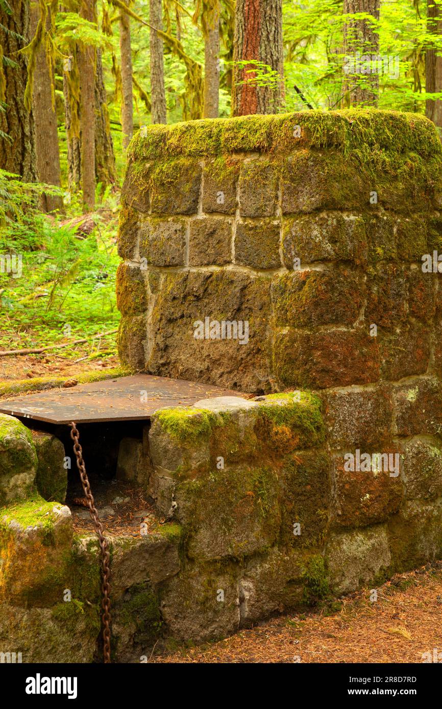 CCC fireplace at Tollgate Campground, Mt Hood National Forest, Oregon Stock Photo