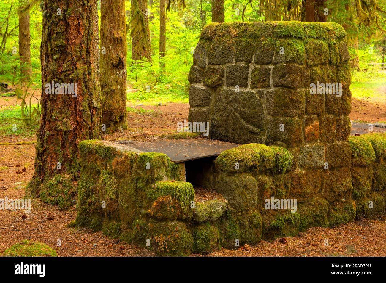 Escape to Oregon's Jewel: Tollgate Campground – Your Unforgettable Adventure Awaits!