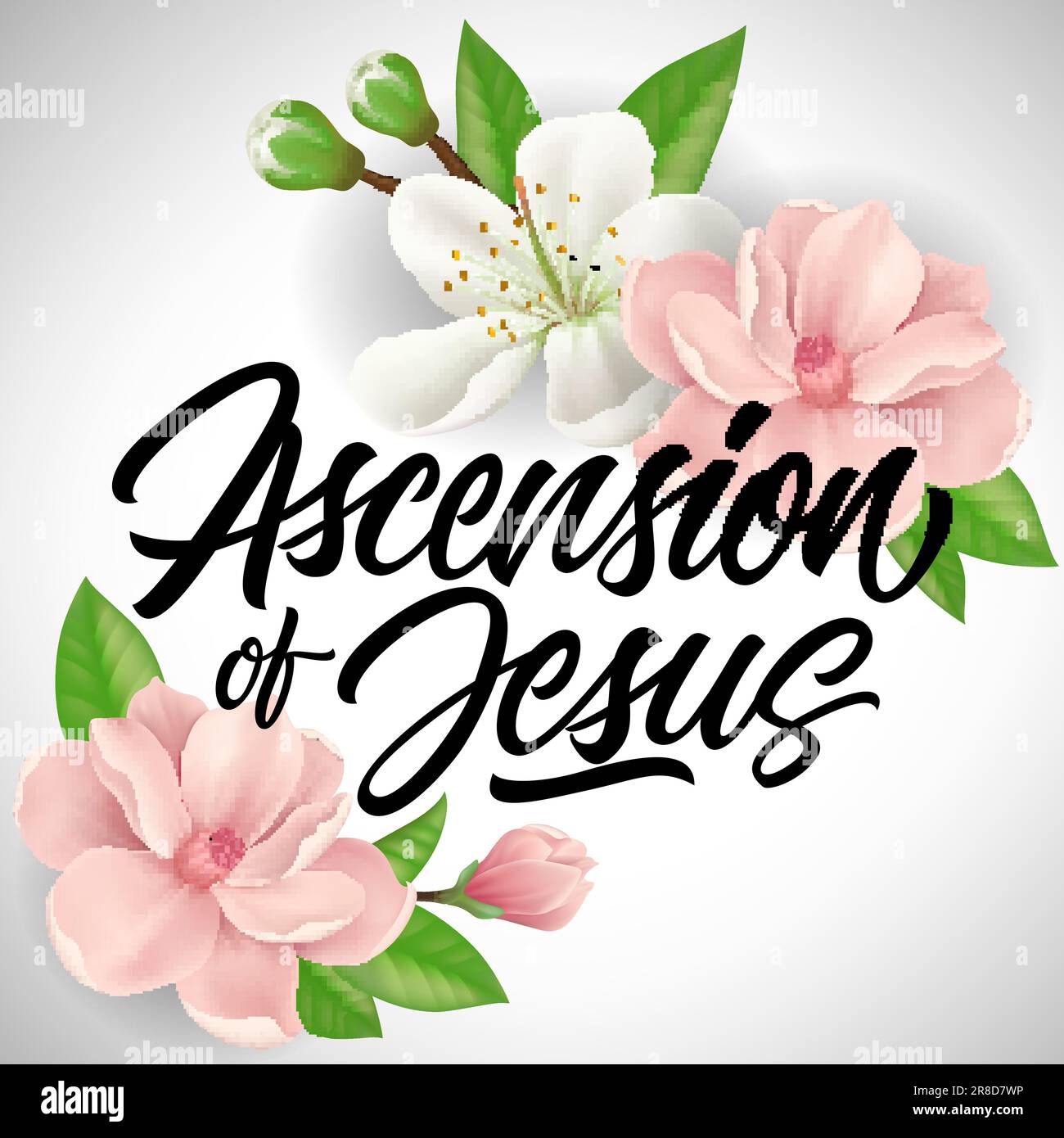 Ascension of Jesus Lettering with Blossoms Stock Vector