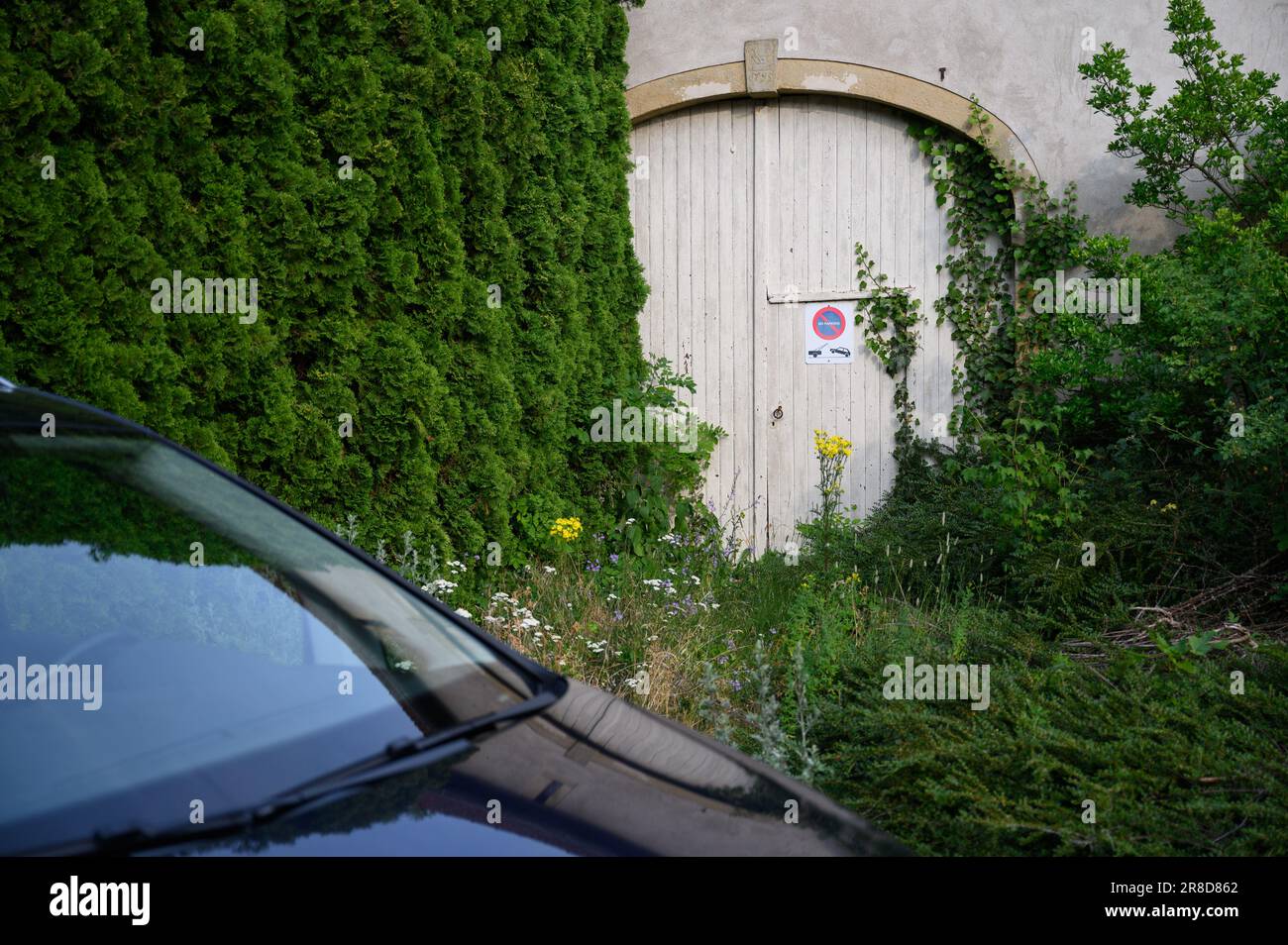 An overgrown garage door with a no parking sign. Stock Photo