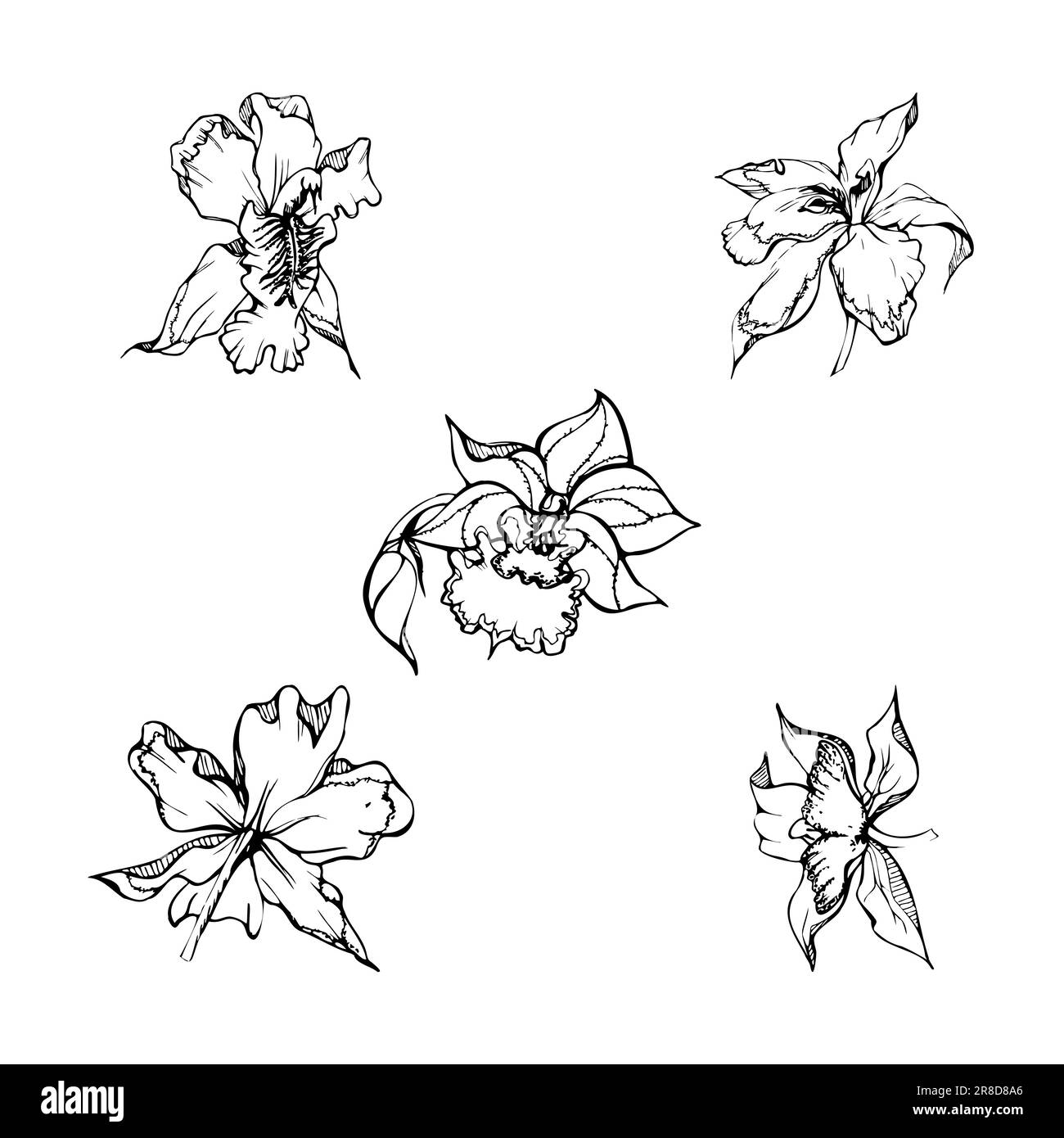 Free Black And White Orchid Tattoo Download Free Black And White Orchid  Tattoo png images Free ClipArts on Clipart Library