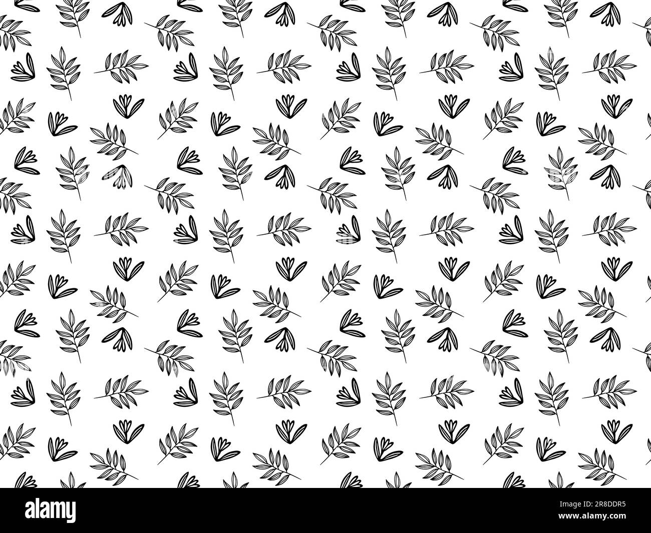 Seamless Vector floral pattern in Doodle style. Black and white endless Botanical background for