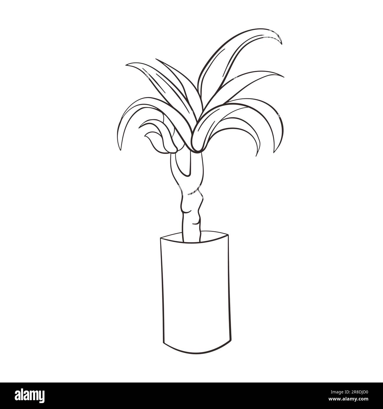 Dracena doodle illustration. Vector illustration. Linear vector dracena icon. Isolated outline picture of the houseplant on white background. Stock Vector
