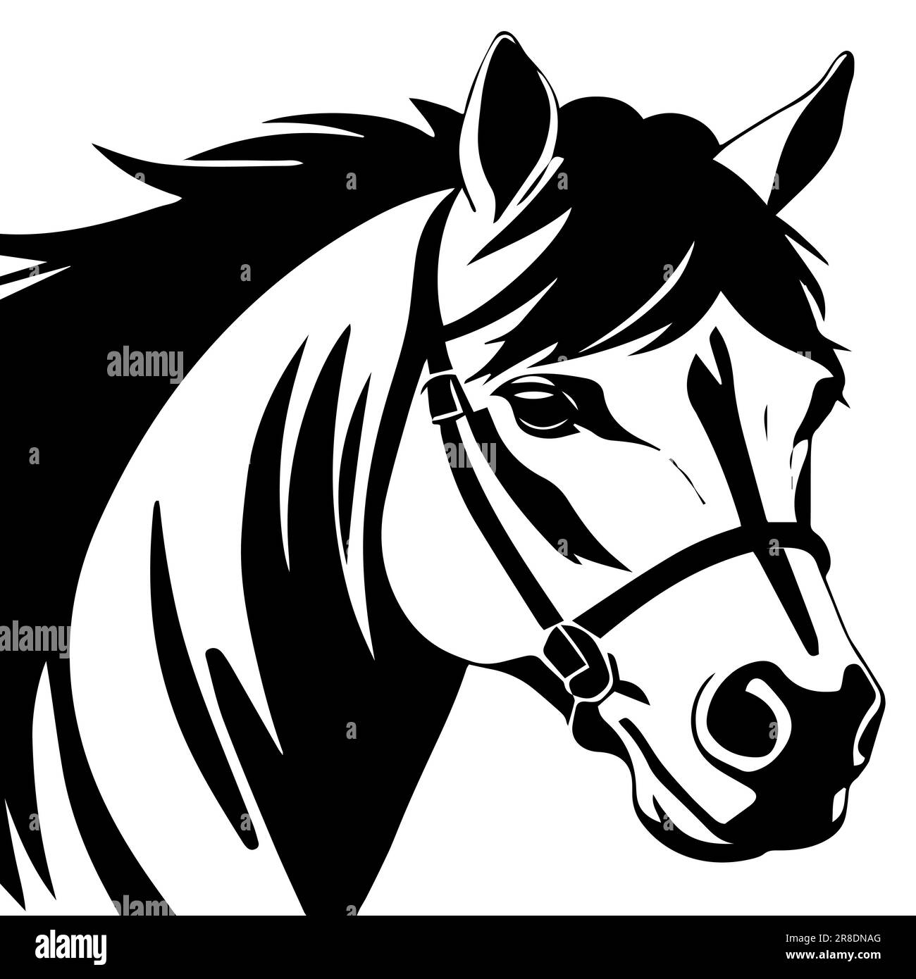 Horse Face Pictures Black And White