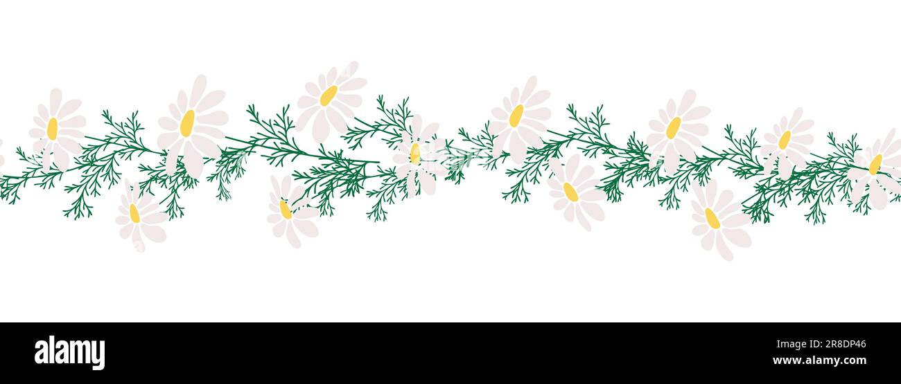 Chamomile horizontal border seamless pattern. Floral seamless border Stock Vector