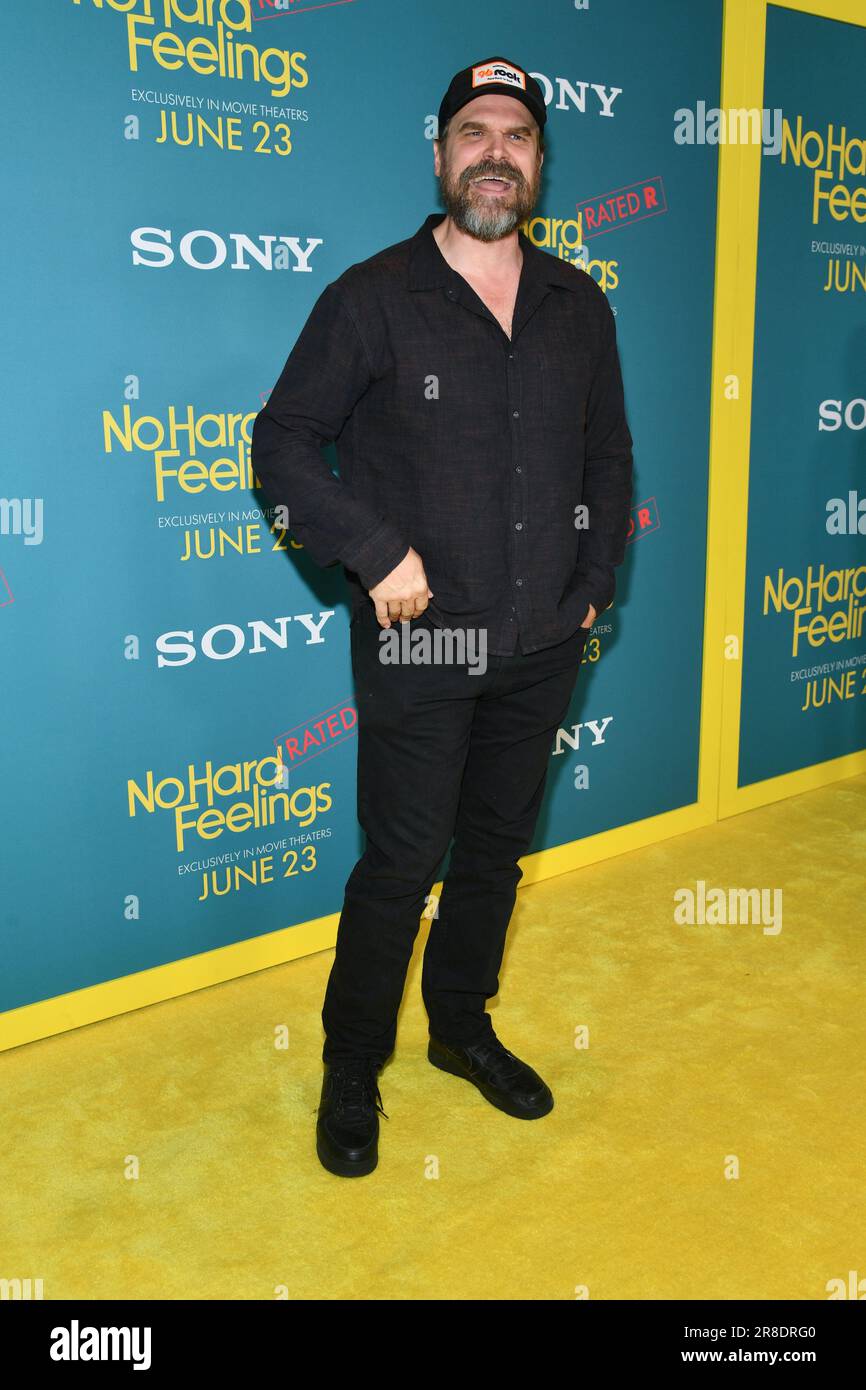 David Harbour attends Sony Pictures' "No Hard Feelings" New York