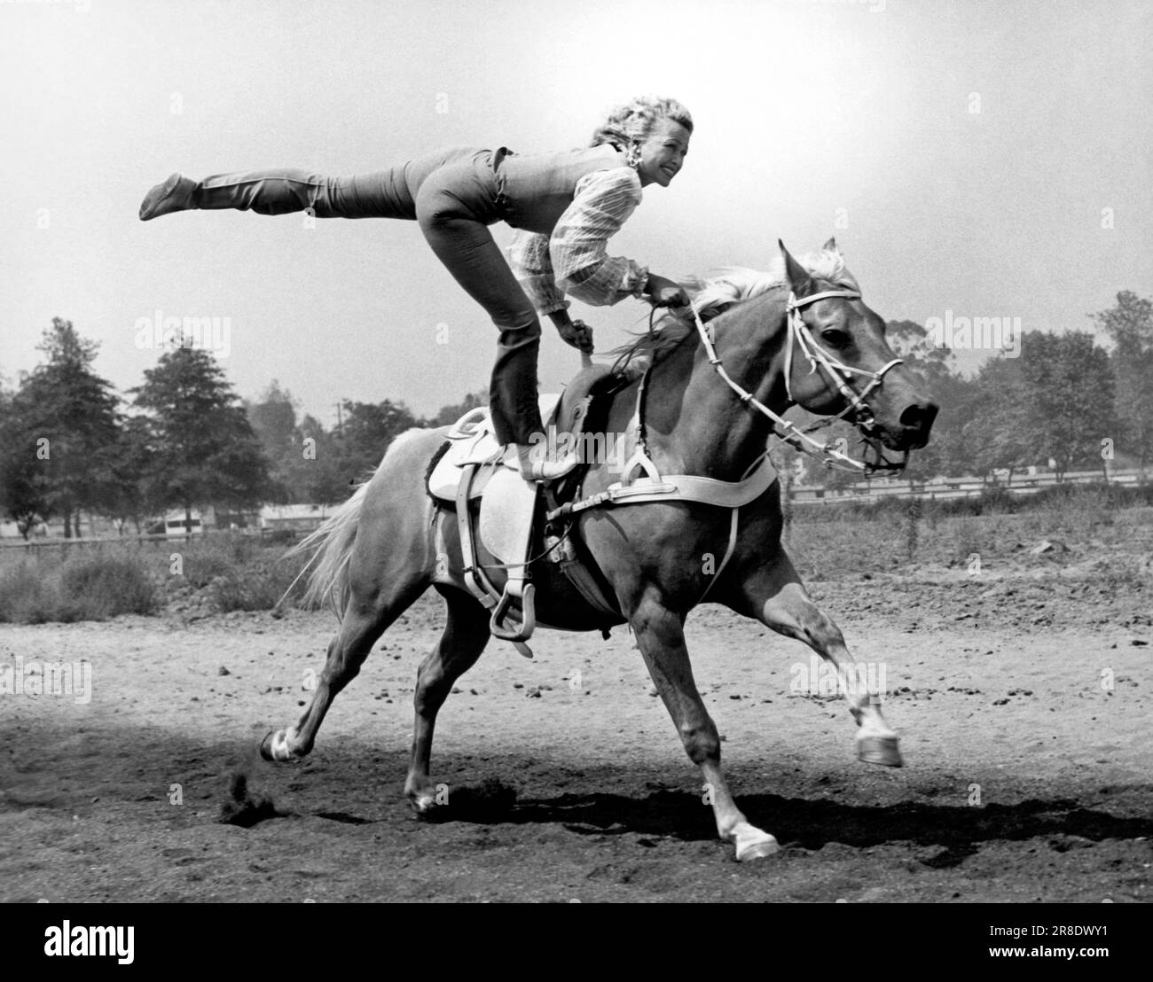 Los Angeles, California:  c. 1950. National Cowgirl Hall of Fame member, Faye Blessing, (1920-1999) performing on her palomino horse, Flash. Stock Photo