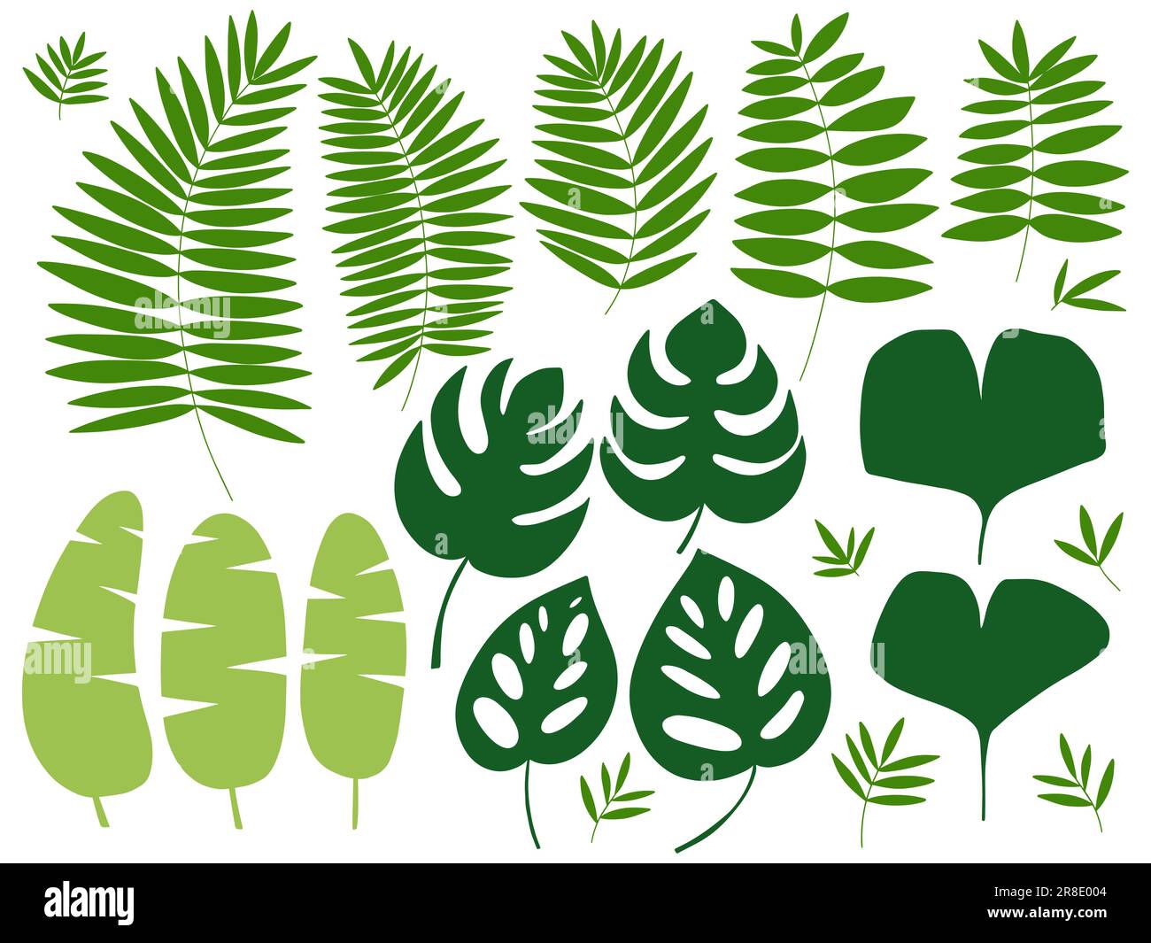 tropical exotic plants leaves set Stock Vector Image & Art - Alamy