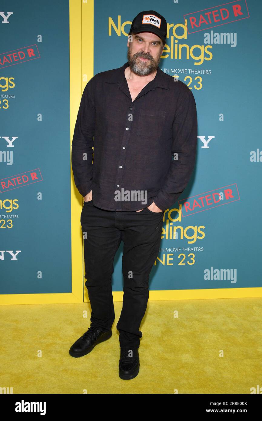 New York, USA. 20th June, 2023. David Harbour attends Sony Pictures ‘No