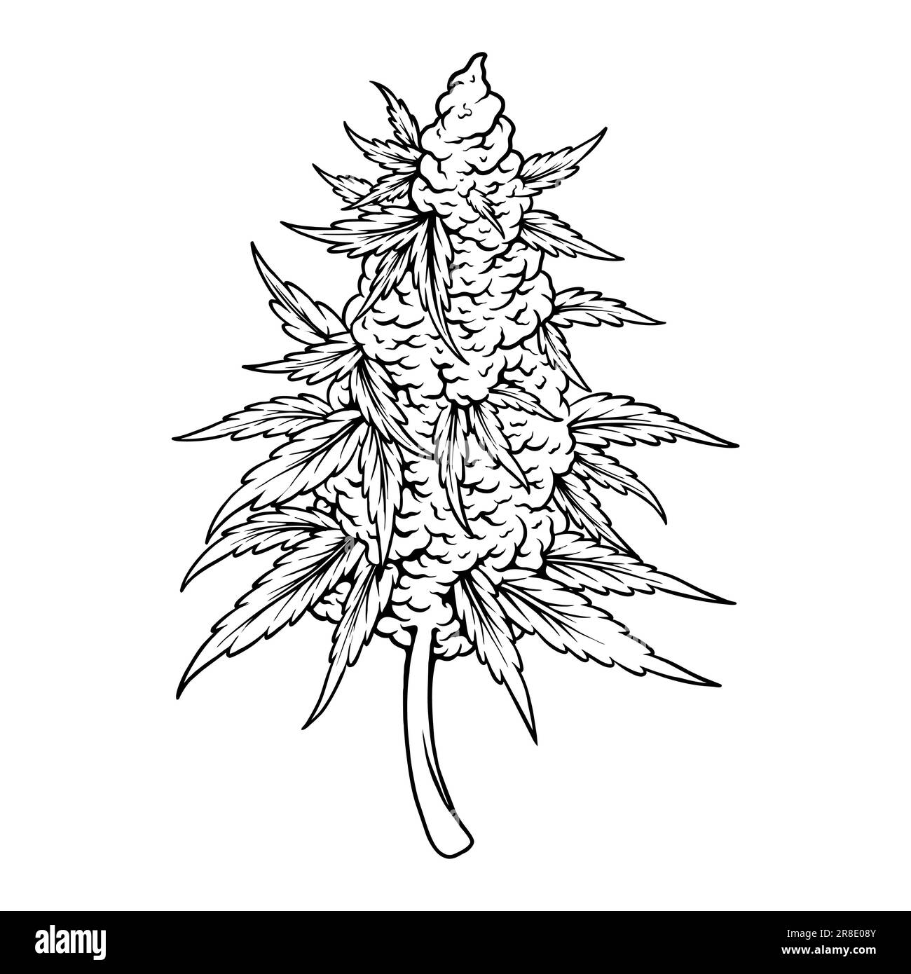 Cannabissilhouettedesign Hi res Stock Photography And Images Alamy cannabissilhouettedesign-hi-res-stock-photography-and-images-alamy