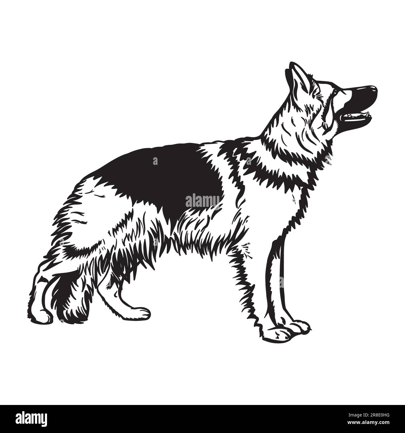 Black and White German Shepherd Dog vector Sketch. Silhouette of Fluffy ...