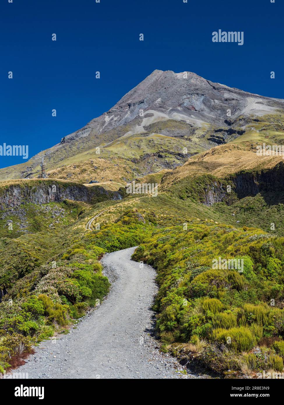 New Zealand Taranaki Egmont National Park Hiking Trail Stock Photo new-zealand-taranaki-egmont-national-park-hiking-trail-stock-photo