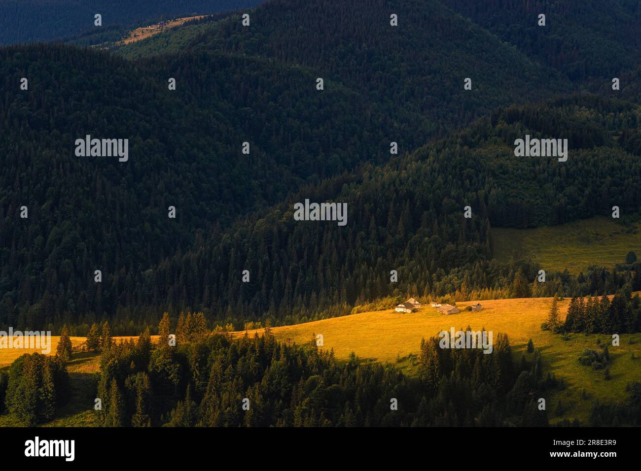 Ukraine, Ivano Frankivsk region, Verkhovyna district, Dzembronya village, Cottages among mountains in Carpathian Mountains Stock Photo