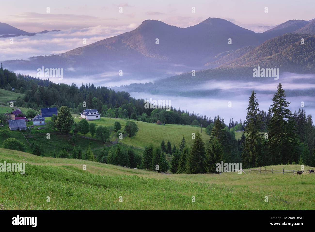 Ukraine, Ivano Frankivsk region, Verkhovyna district, Dzembronya village, Rolling landscape in Carpathian Mountains Stock Photo