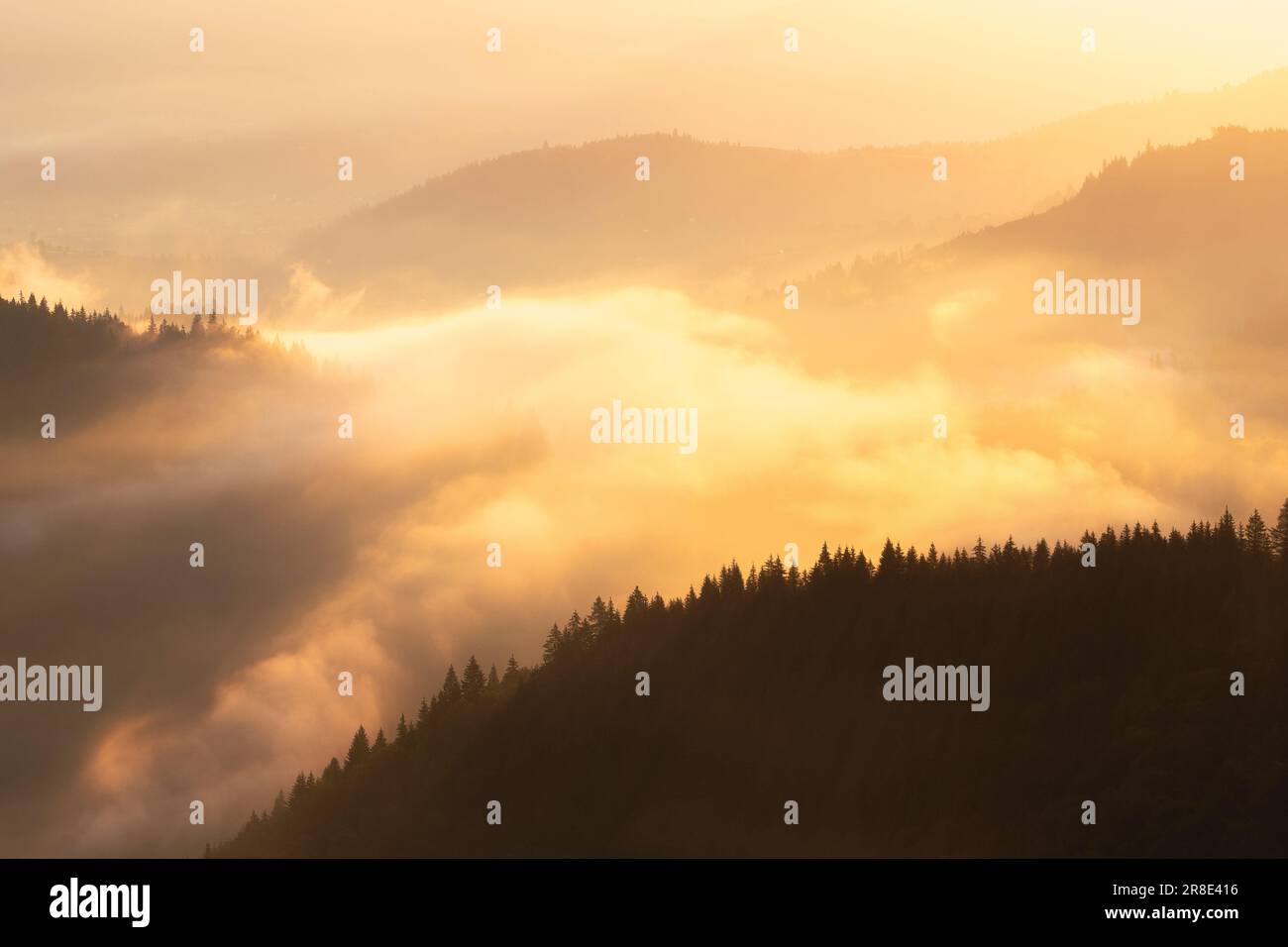 Ukraine, Ivano Frankivsk region, Verkhovyna district, Dzembronya village, Foggy Carpathian Mountains landscape at sunset Stock Photo