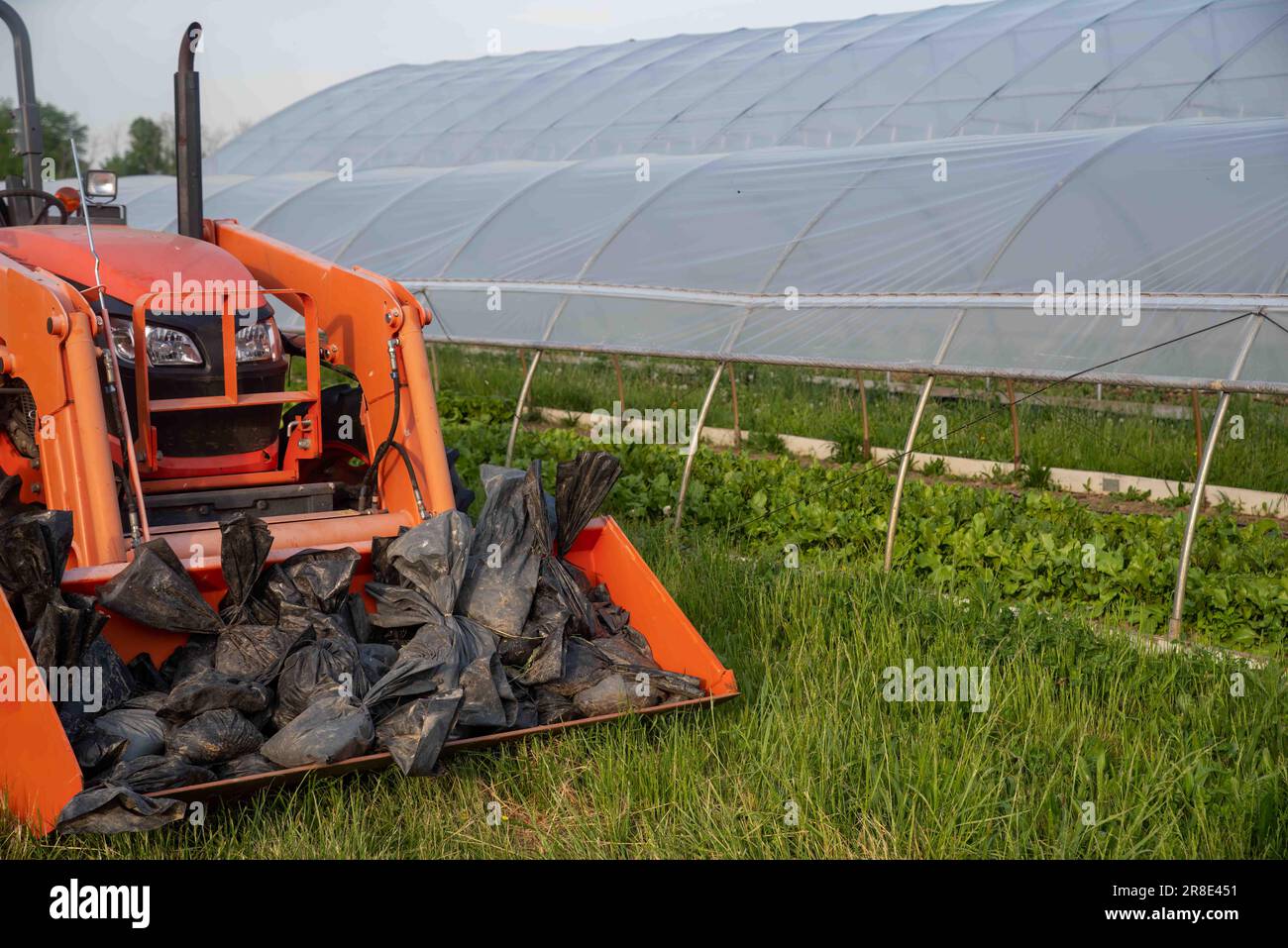 Orange farm tractor with sandbags by organic vegetable greenhouse Stock Photo