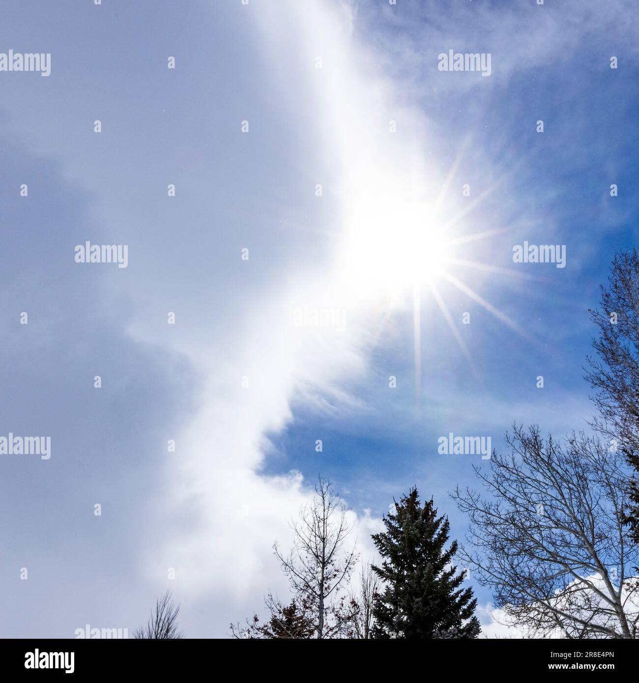 USA, Idaho, Hailey, Sun shining through clouds with trees on foreground Stock Photo