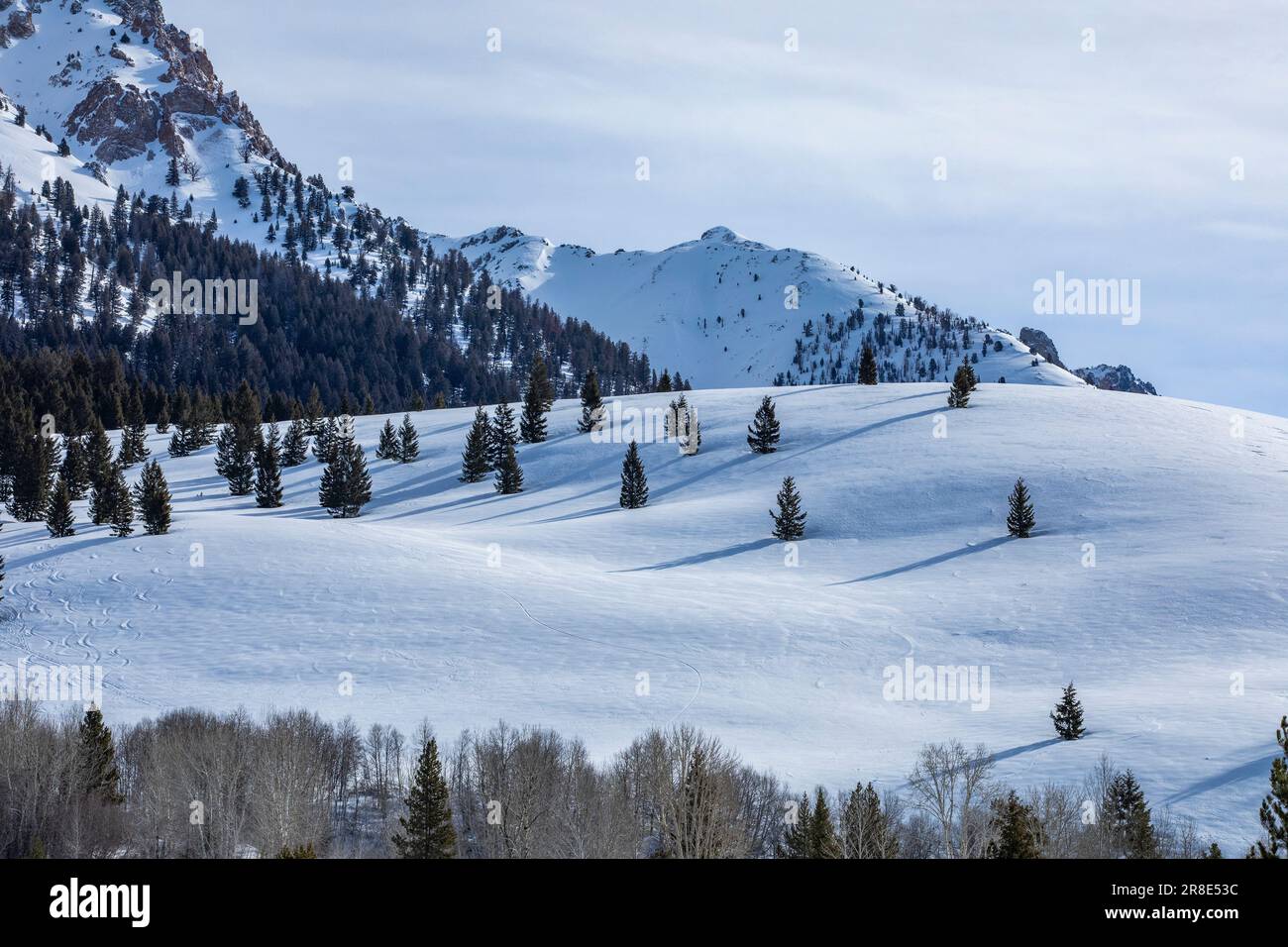 USA, Idaho, Sun Valley, Snowcovered mountain slope with trees Stock