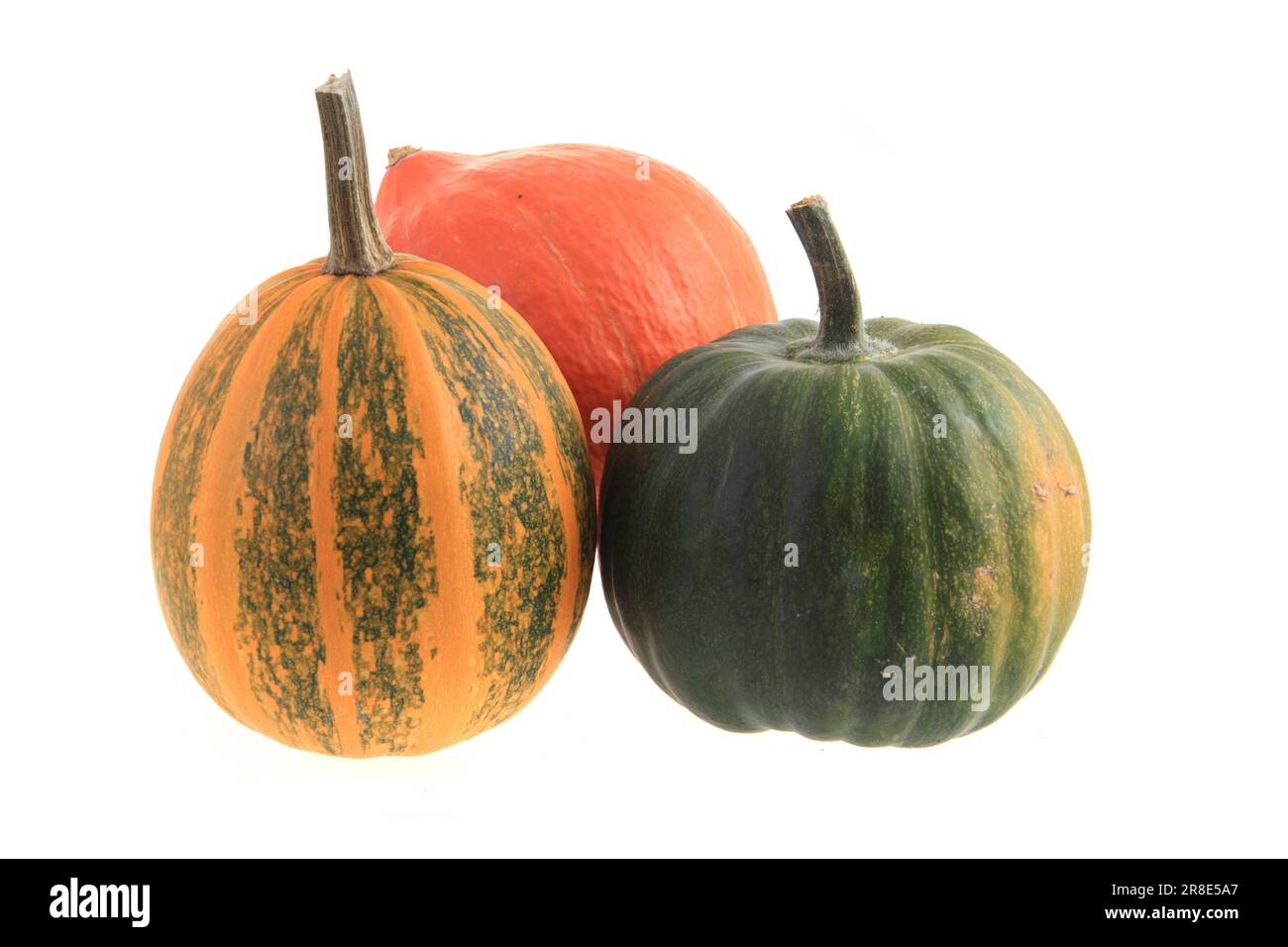 three different pumpkins isolated on the white background Stock Photo