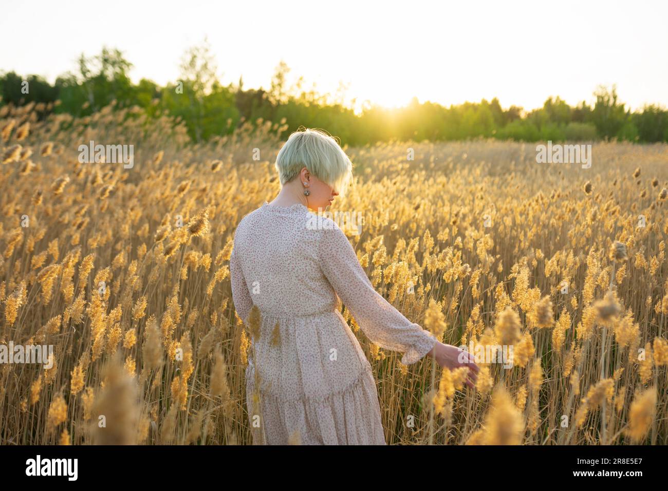 Young woman standing in field and touching plants at sunset Stock Photo