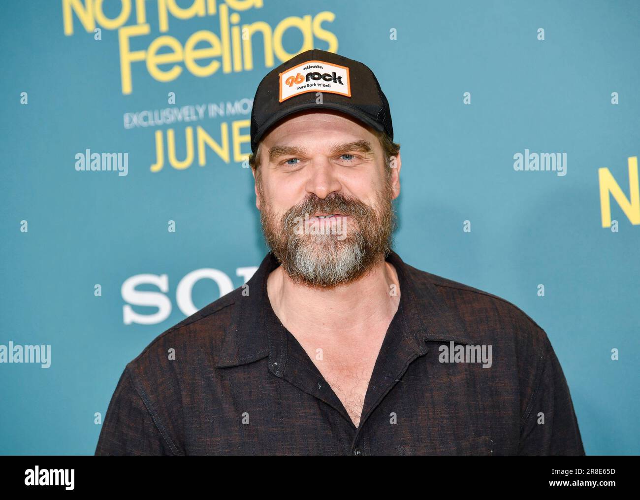 David Harbour attends the premiere for "No Hard Feelings" at AMC