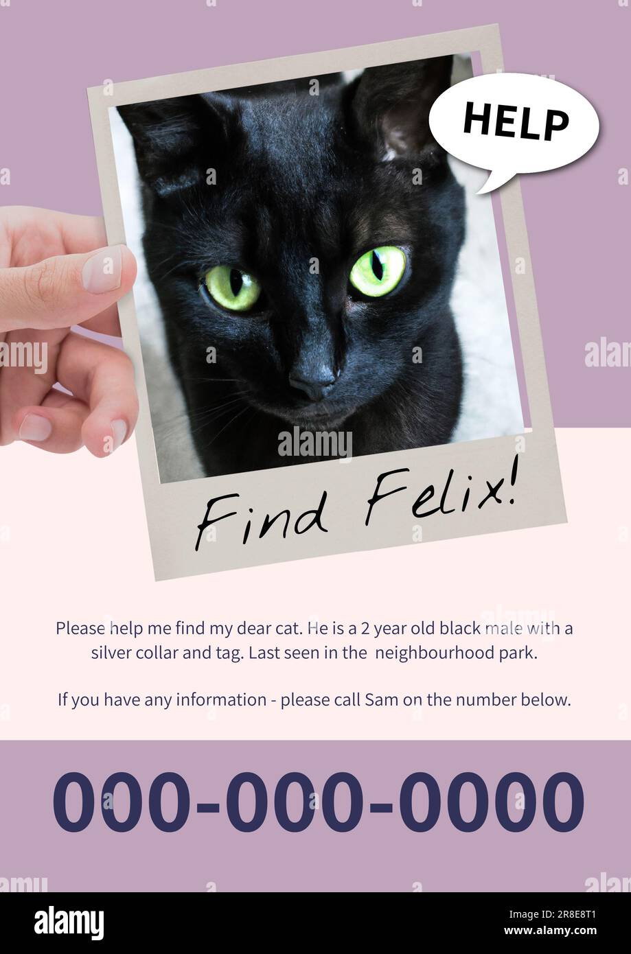 Composite of missing poster of black kitten, find felix, help text with information and number Stock Photo