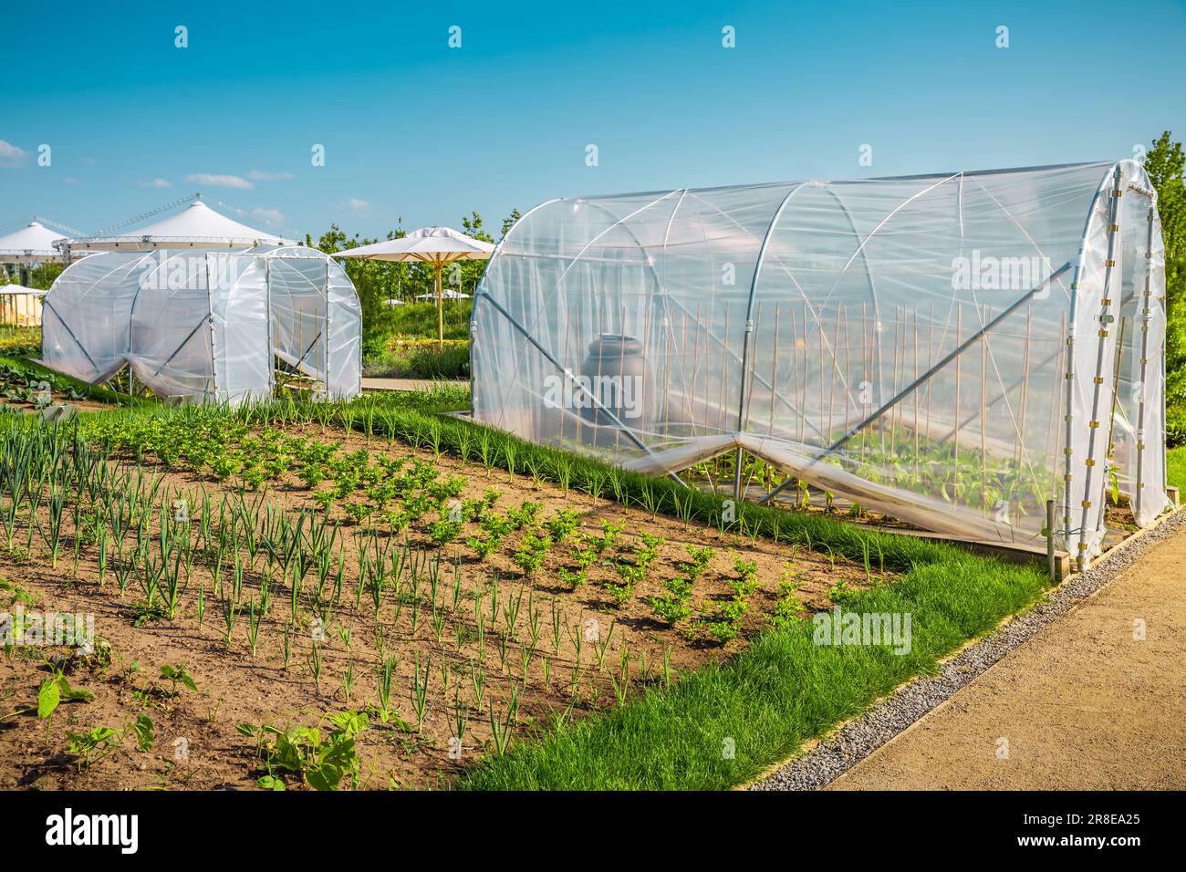 Vegetable garden with portable greenhouses for a small gardens Stock