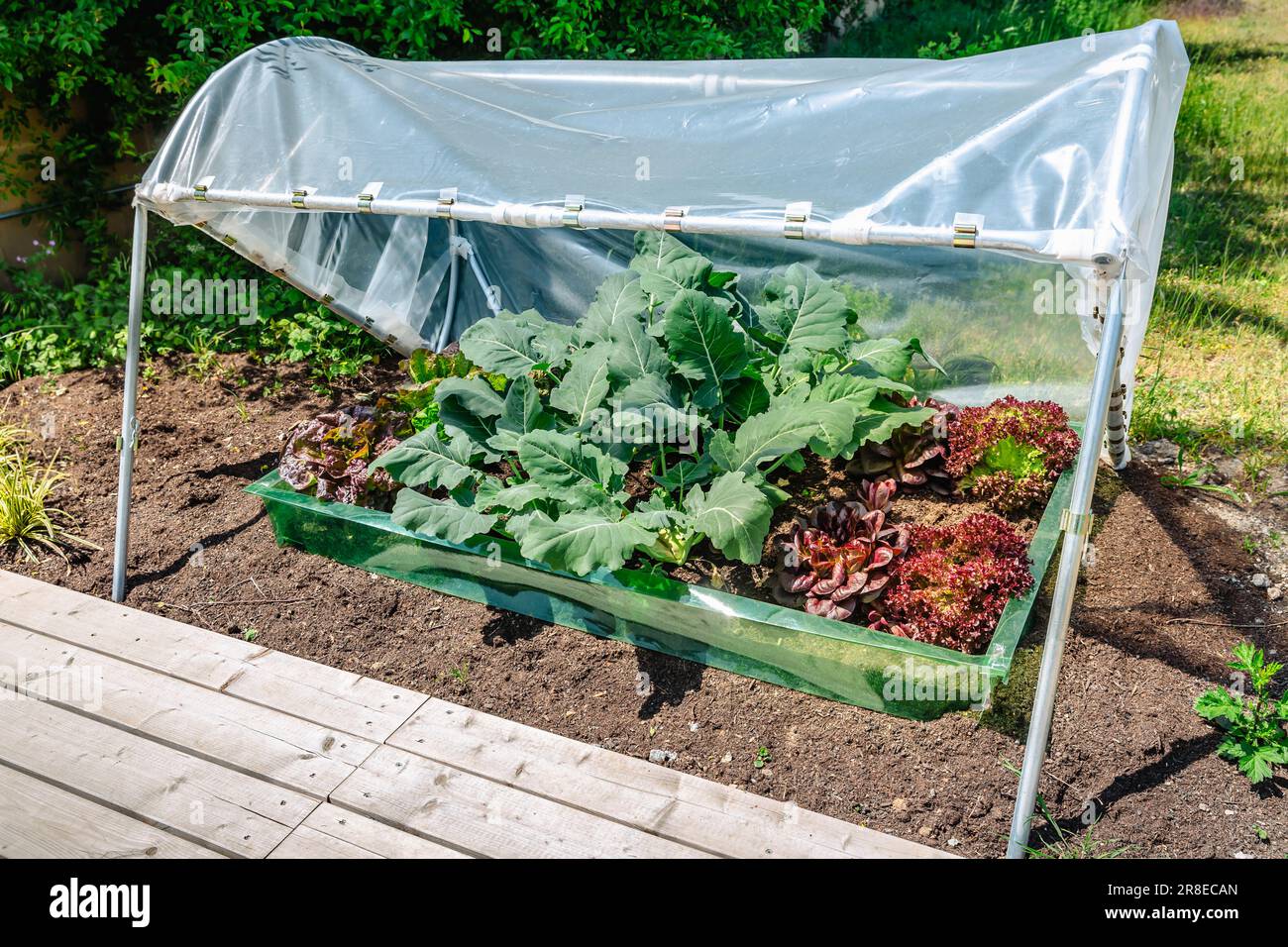 DIY plastic greenhouse or foil greenhouse for food production  for small gardens, cold weather protection Stock Photo