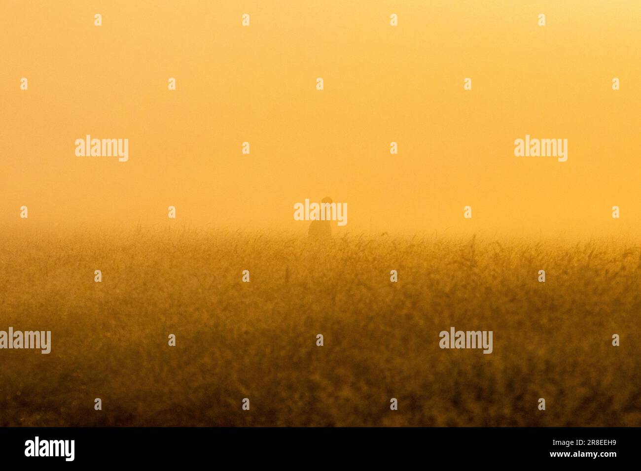Annual Summer Solstice celebrations take place at Stonehenge, Wiltshire, UK Stock Photo