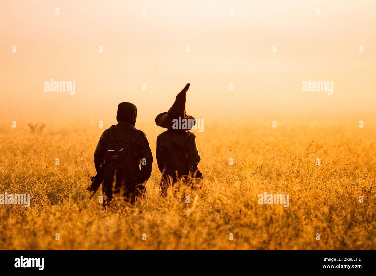 Annual Summer Solstice celebrations take place at Stonehenge, Wiltshire, UK Stock Photo