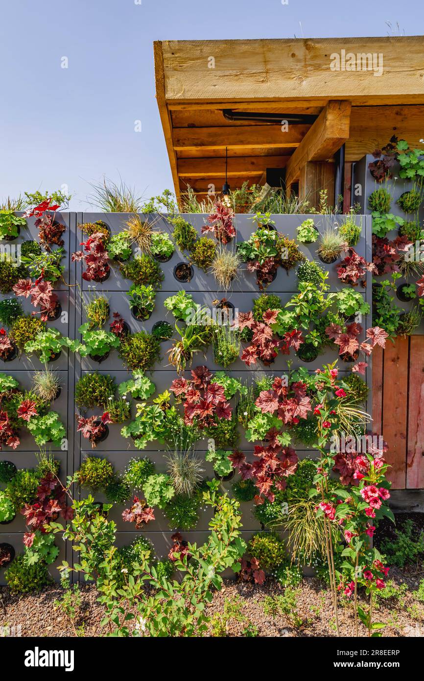 Green house fence with planting plants on the wall. Vertical gardening ...