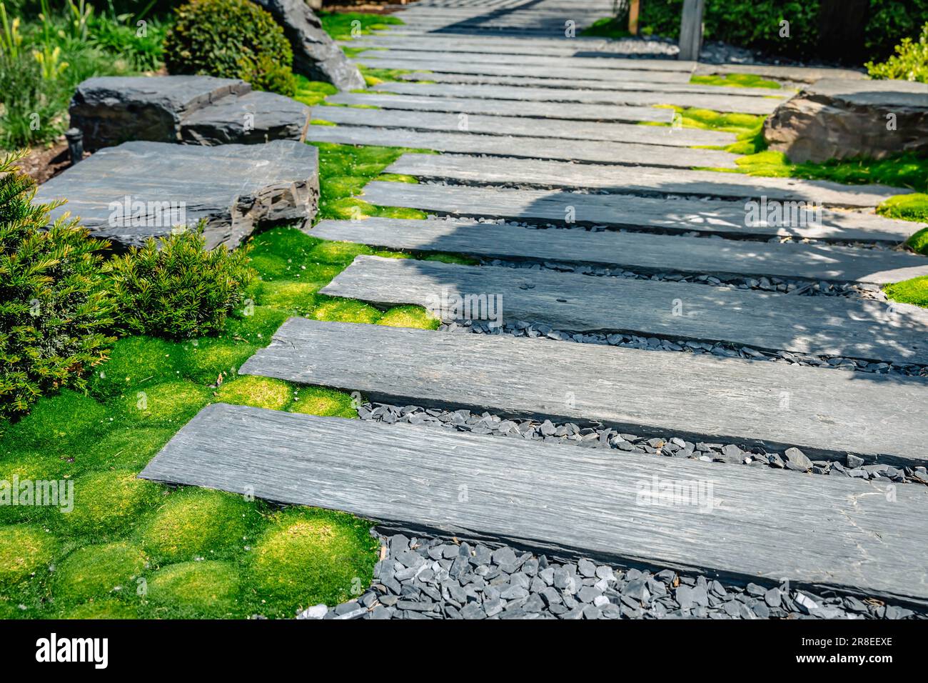 Conifer and slate path with bark mulch and native plants in Japanese garden. Landscaping and