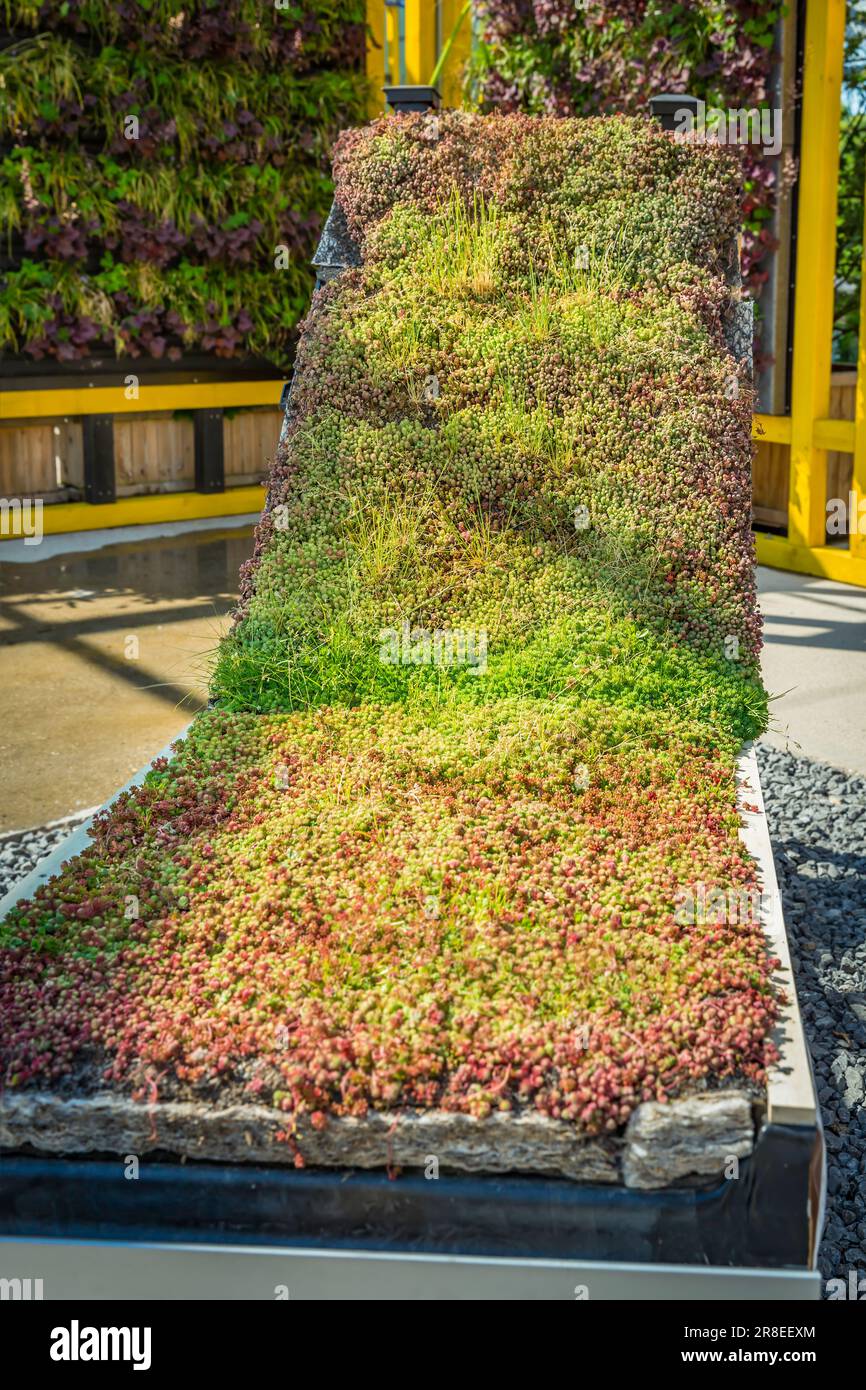 Example of extensive rooftop garden in a garden shop Stock Photo - Alamy