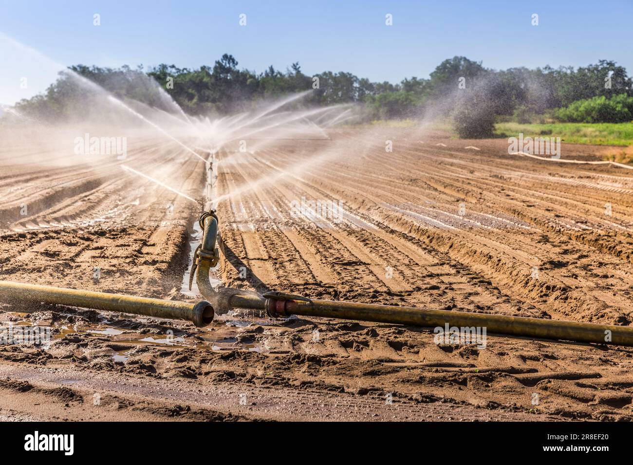 Irrigation system on a large farm field Stock Photo Alamy