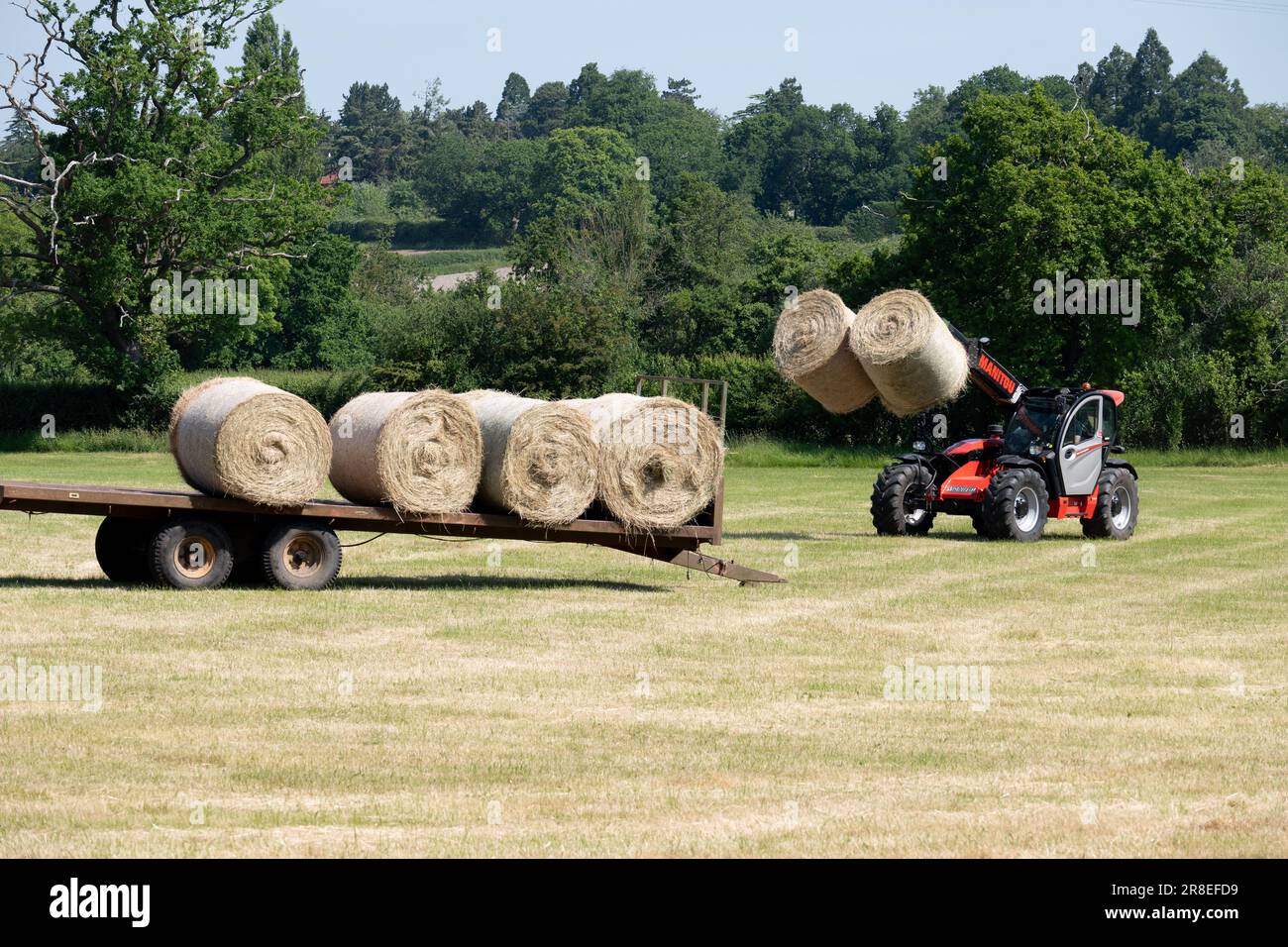Manitou tractor loading hay bales onto a trailer, Warwickshire, England, UK Stock Photo