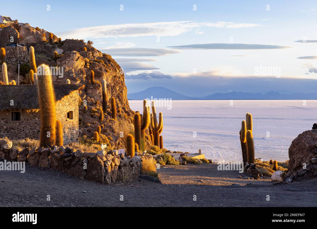 Isla Incahuasi at sunset with view on the biggest salt lake in the world, the Salar de Uyuni in the Bolivian highlands, the Altiplano in South America Stock Photo