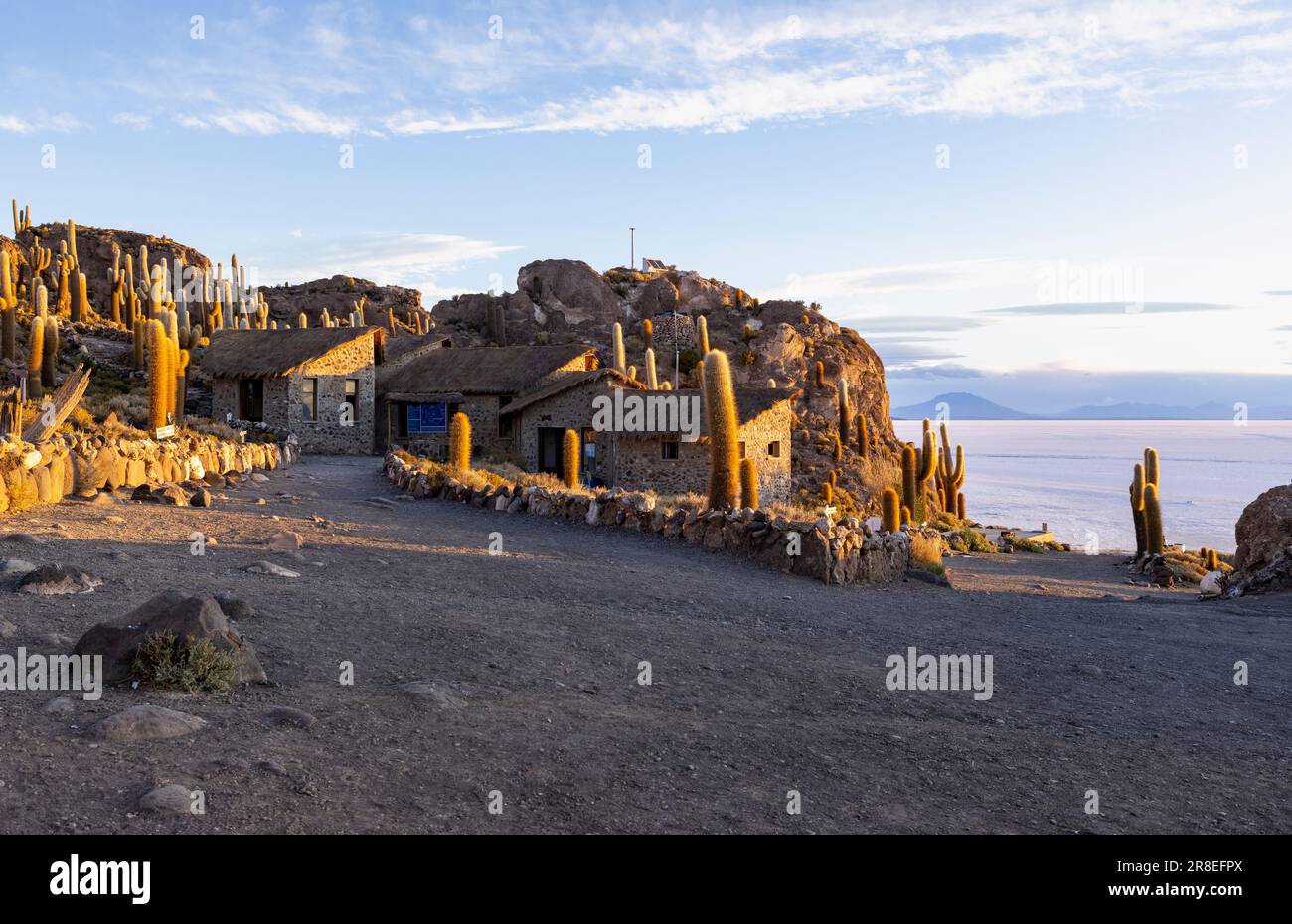 Isla Incahuasi at sunset with view on the biggest salt lake in the world, the Salar de Uyuni in the Bolivian highlands, the Altiplano in South America Stock Photo