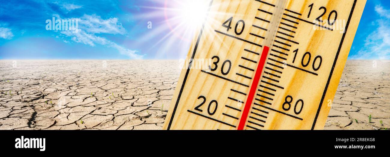 thermometer shows high temperature in summer heat with dryness and lack of water in field Stock Photo