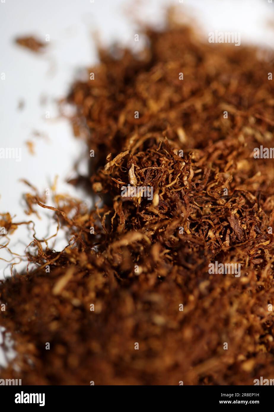 Rolling tobacco leaves lucky strike macro background stock photography high  quality dried chopped premium smoking instant prints Stock Photo