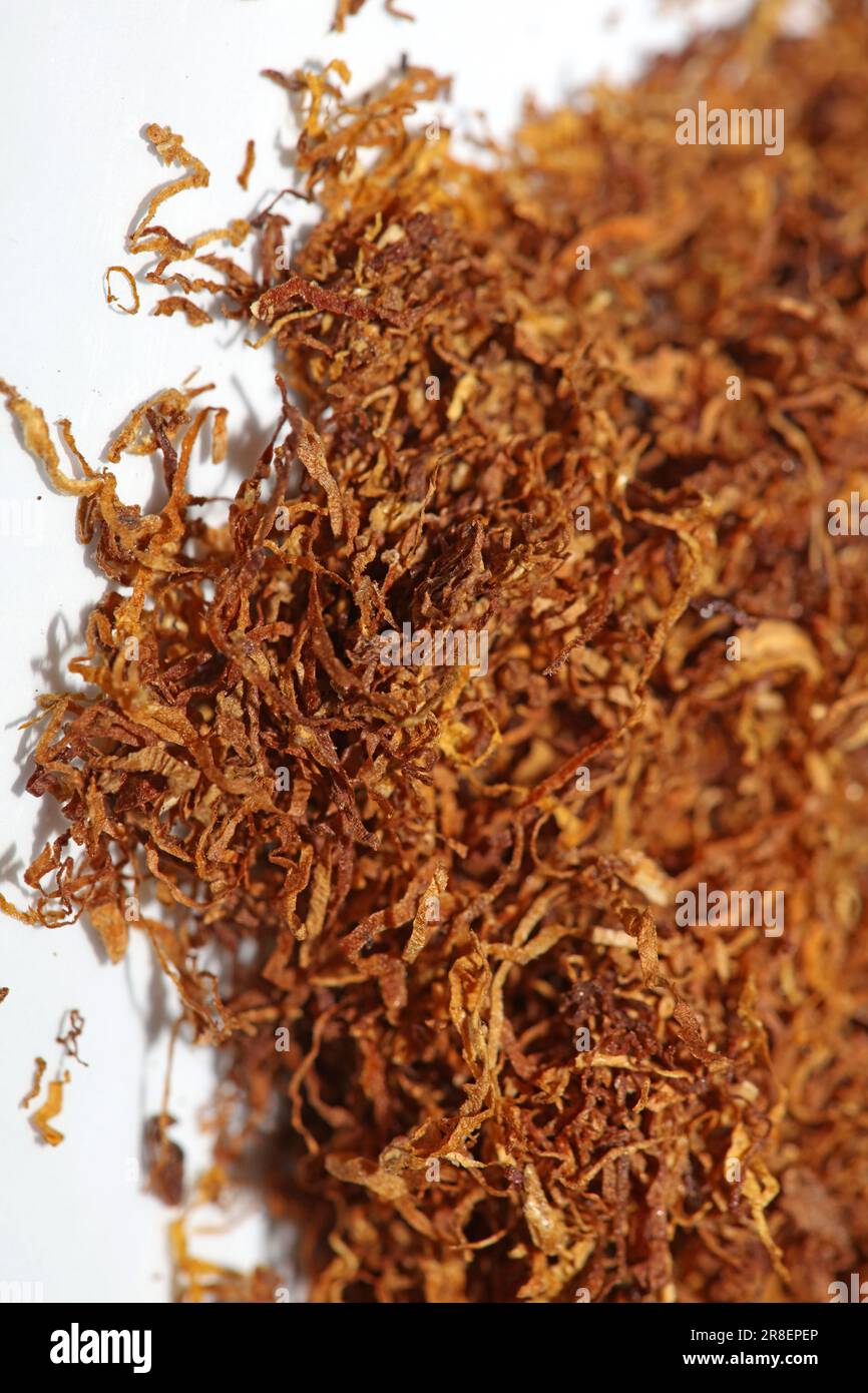gulf orchid sweet heaven tobacco WOW! Sweet Heaven Tobacco 1st Smell! Gulf Orchid