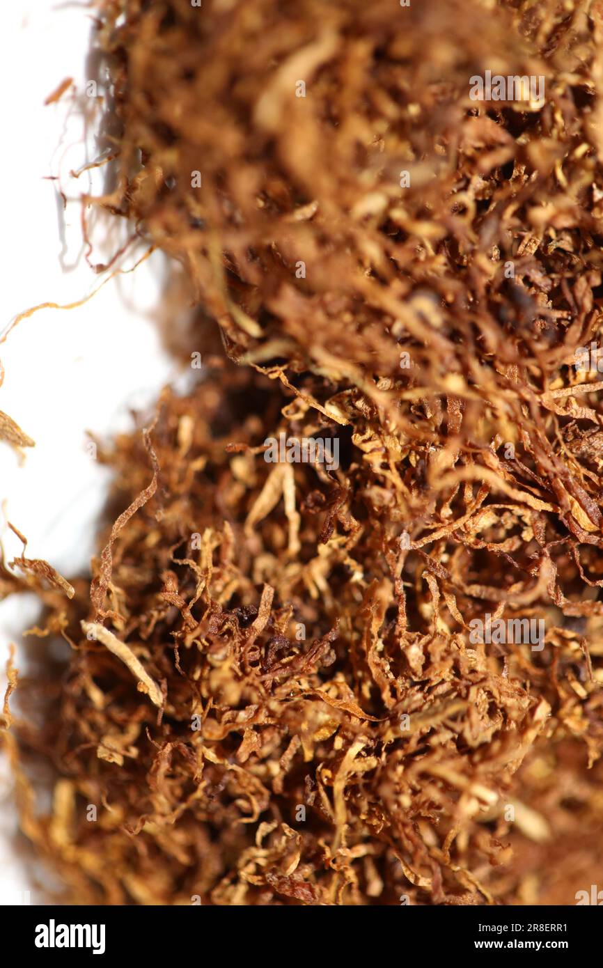 Rolling tobacco leaves lucky strike macro background stock photography high quality dried chopped premium smoking instant prints Stock Photo