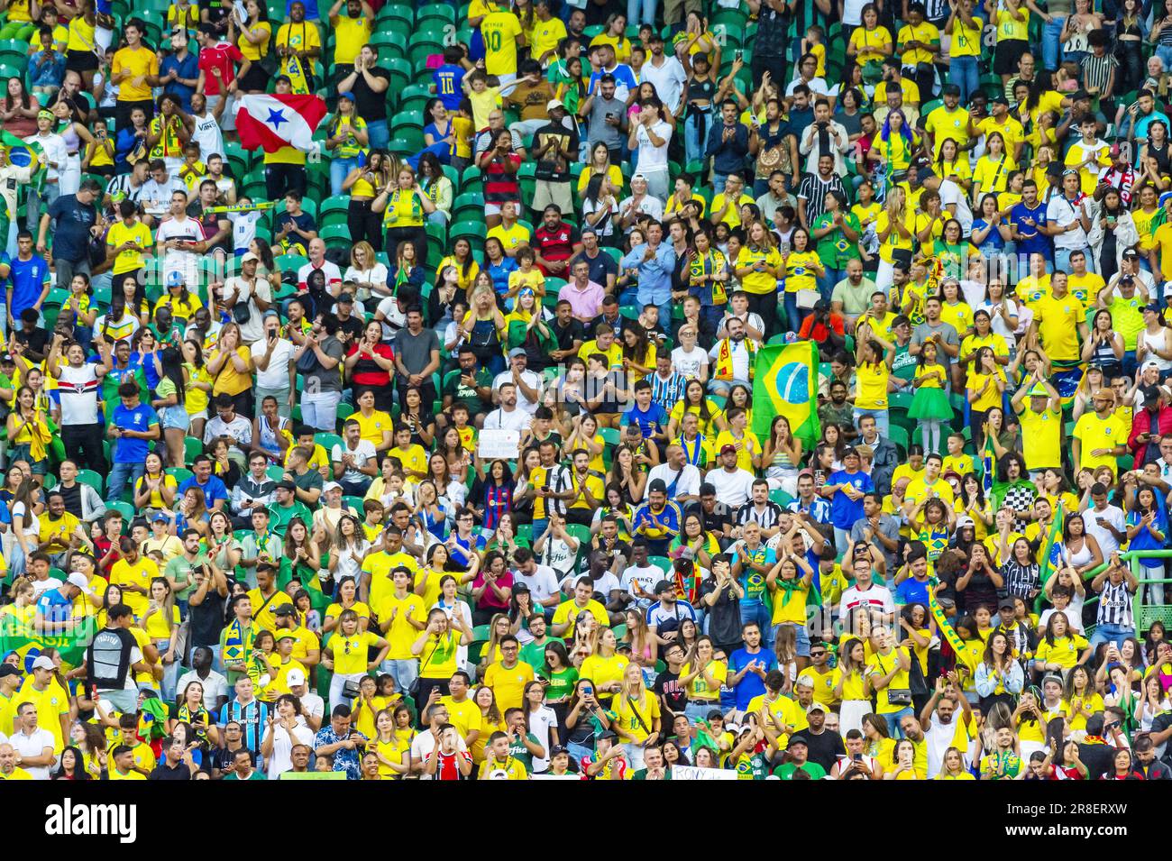 Brésil  Fans 22/23 main image 1