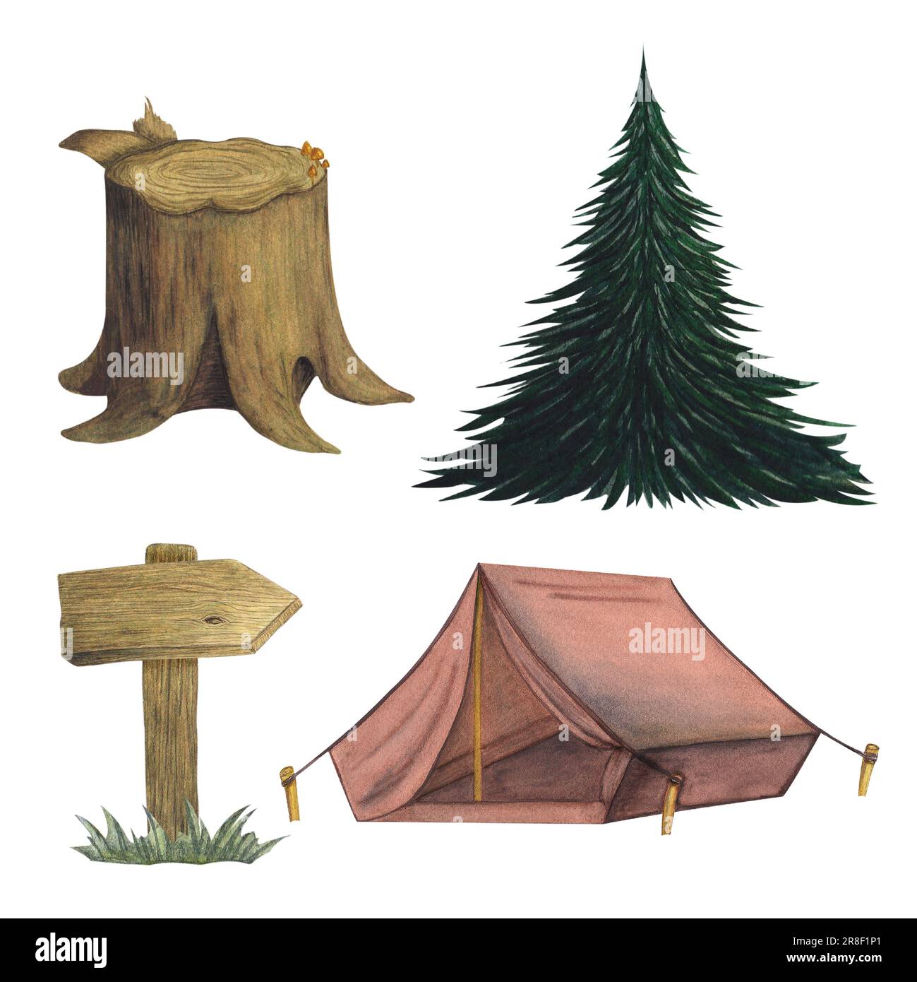 Spruce Tree Sign Tree stump, cut wood trunk. Fir tree, spruce. Wooden signs, shields and ...