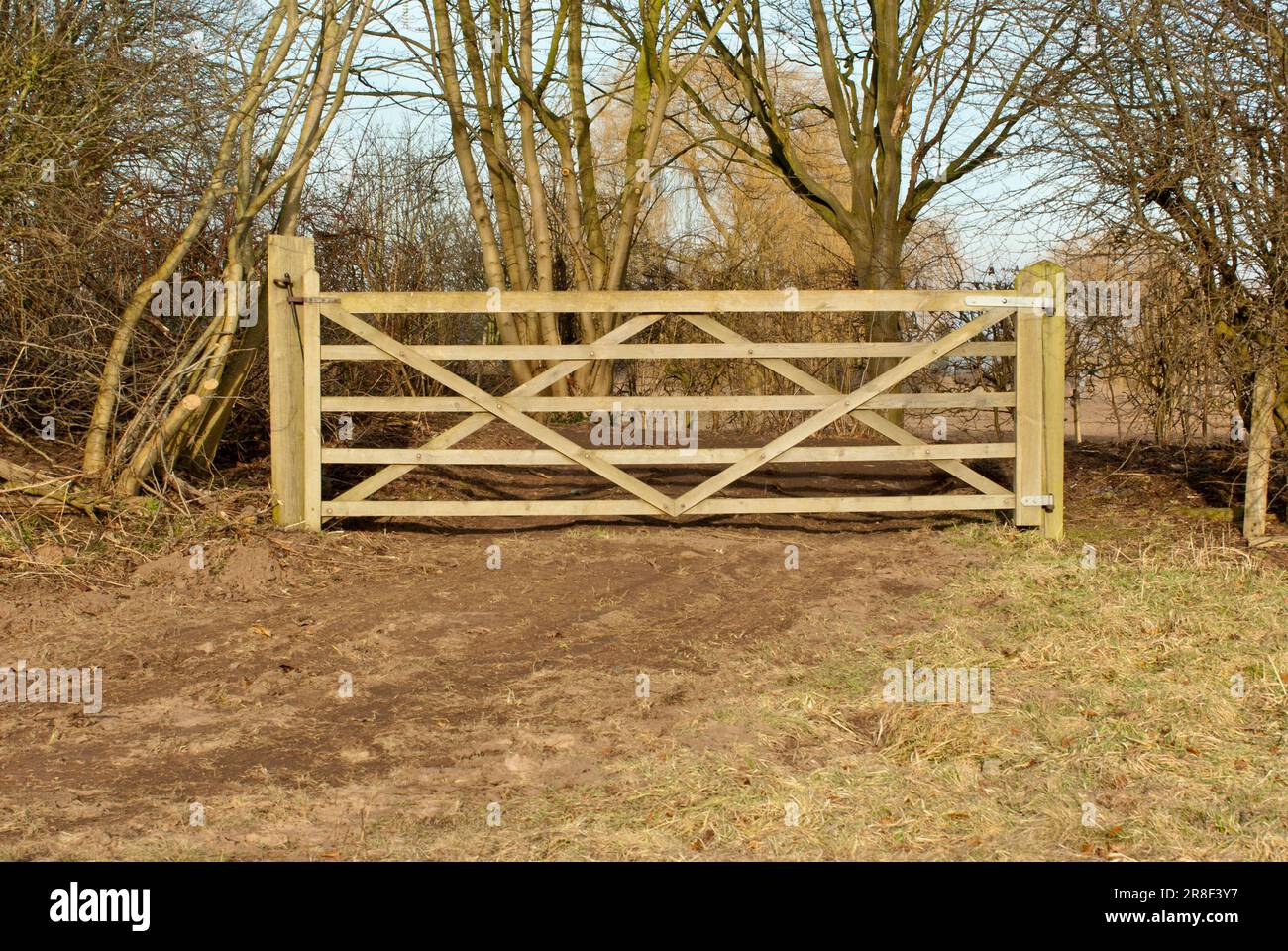 Wooden Gate Stock Photo
