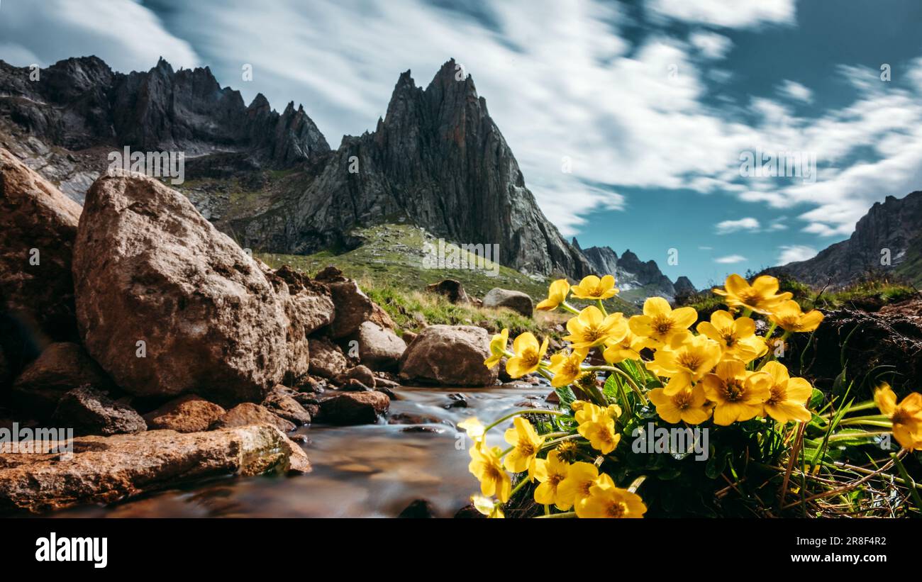 lianbao-yeze-hi-res-stock-photography-and-images-alamy