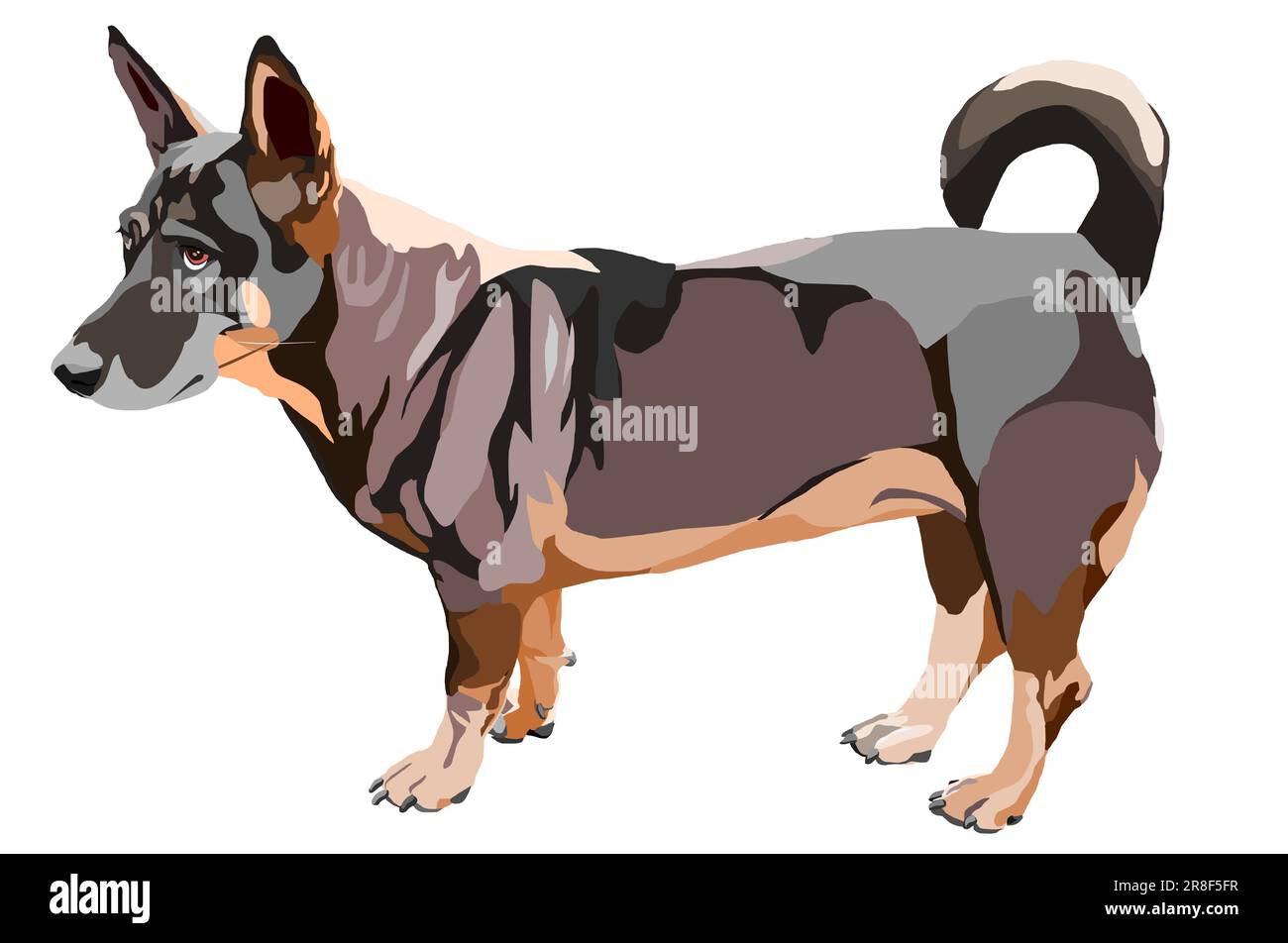 Dark brown dog standing isolated on white background, The dog has short