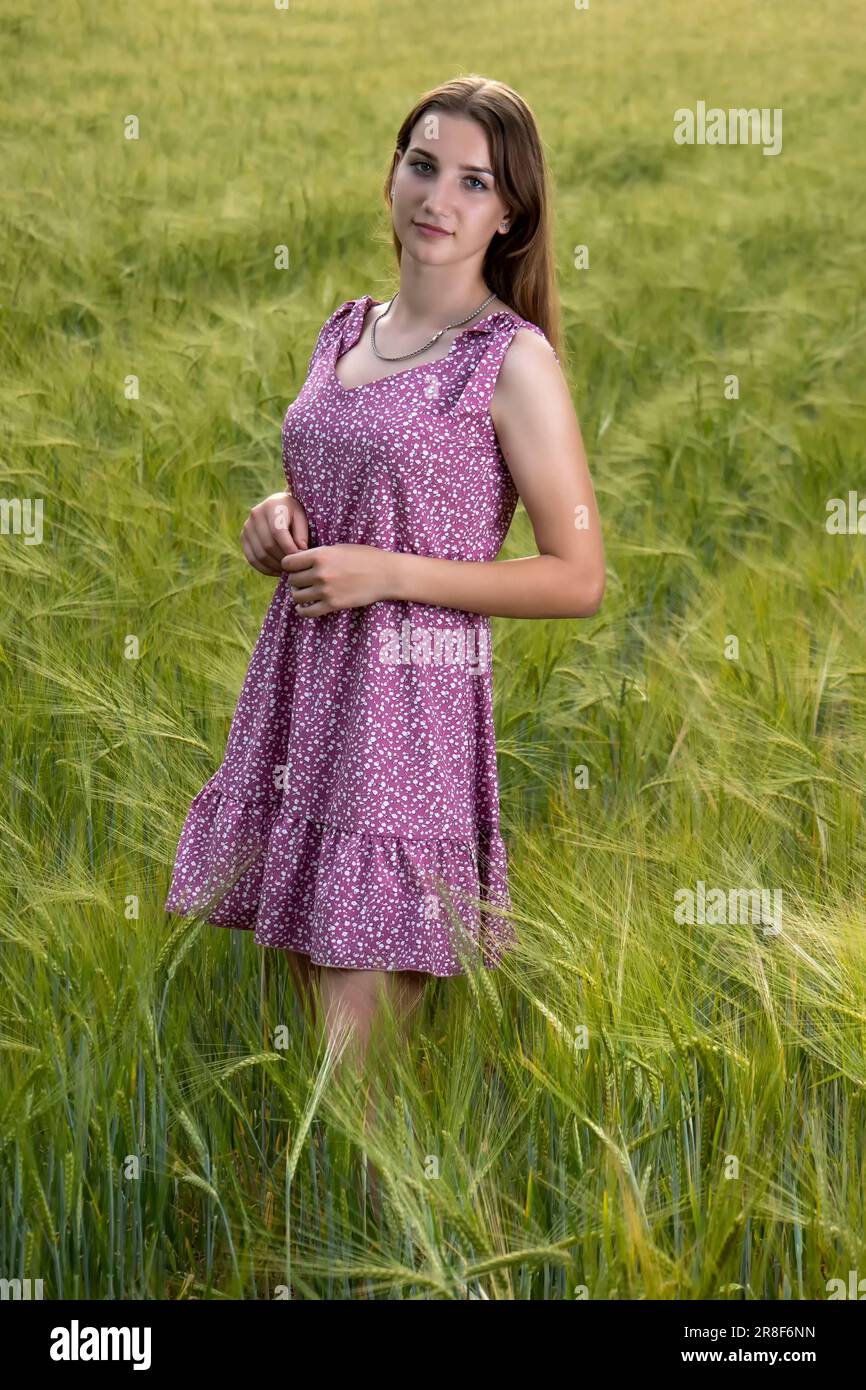 A young girl in a red dress on a wheat field Stock Photo - Alamy